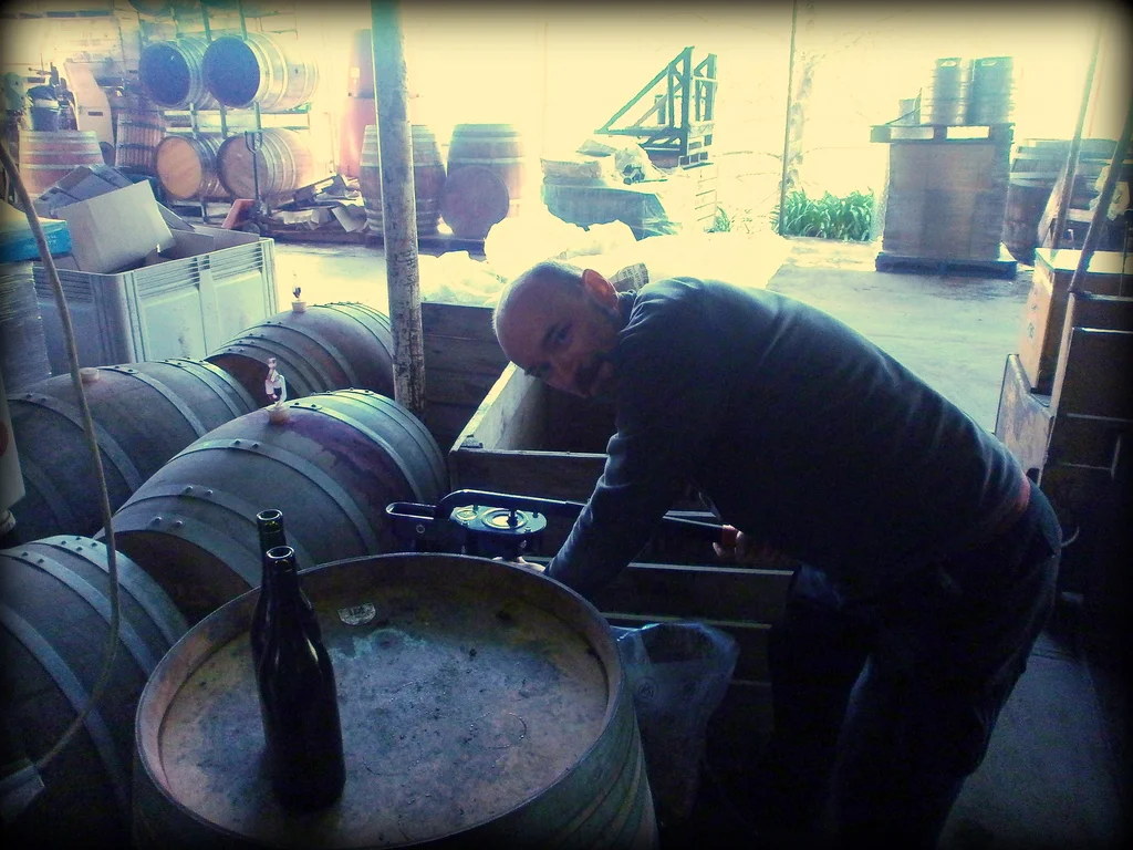 Bottling Grenache 2013