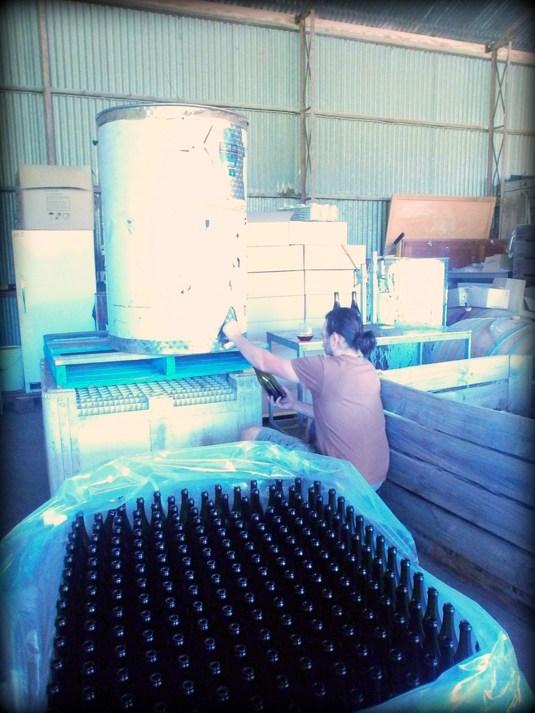 Bottling Grenache 2013