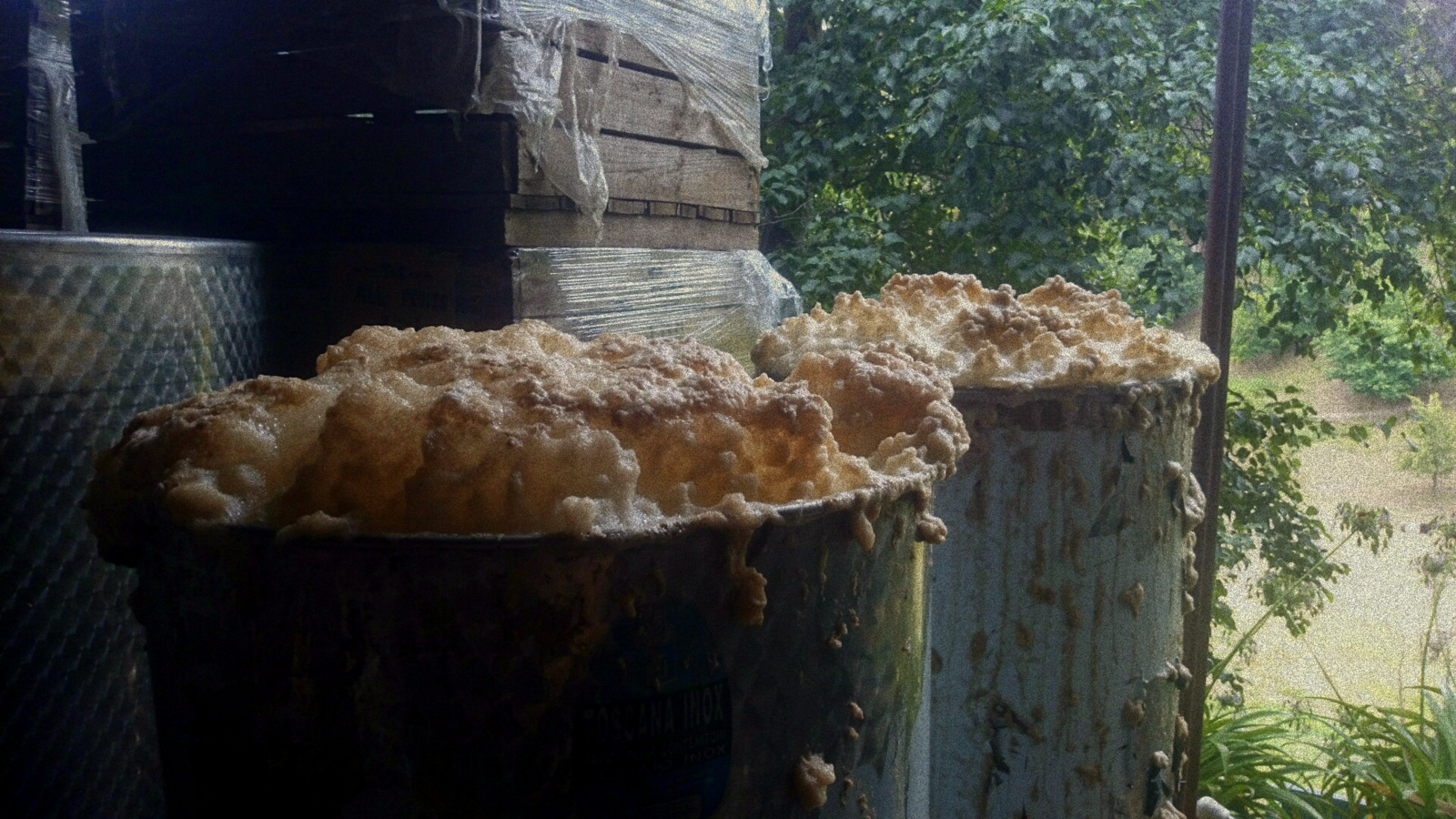 The Other Right wine - Basket Range Chardonnay is fermenting in its big wild way