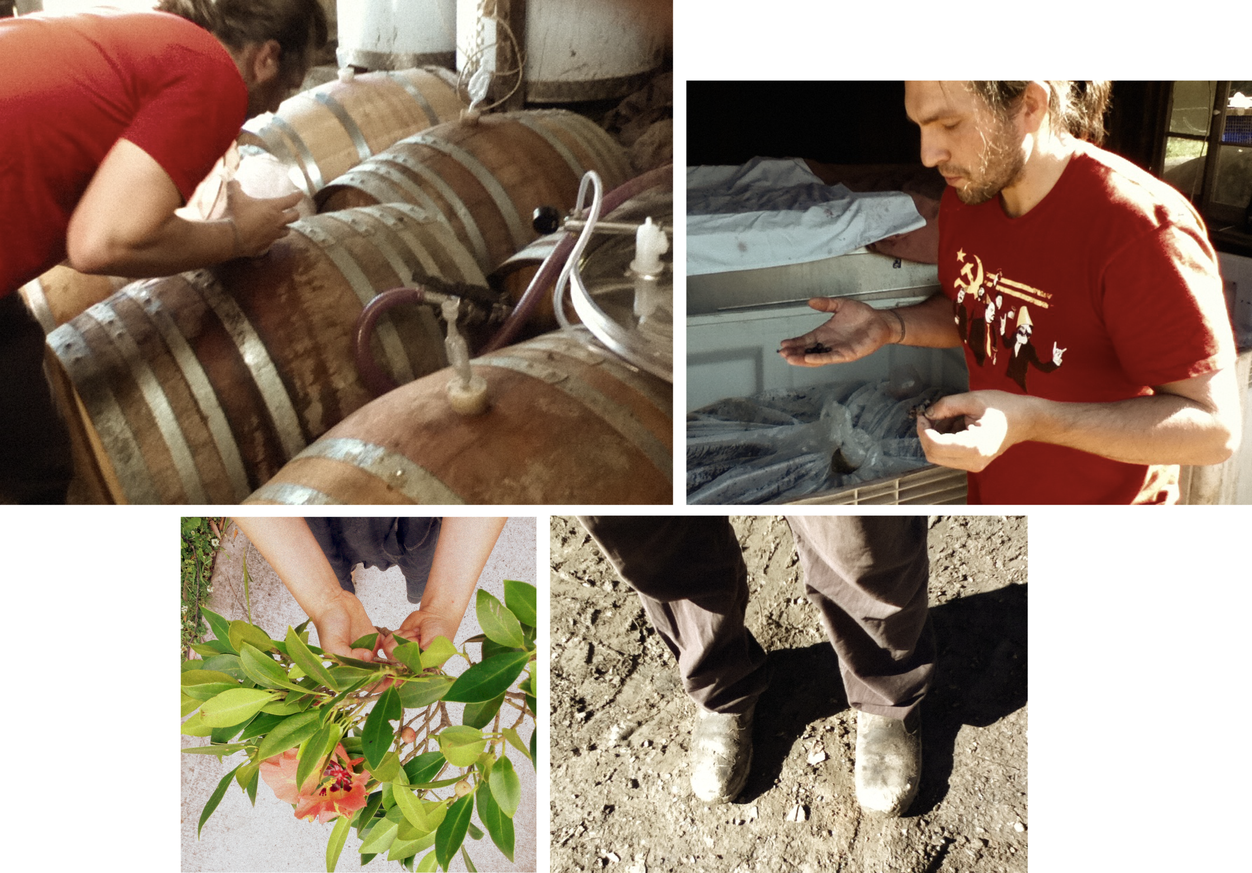 The Other Right Wines - Winemaker Alex Schulkin