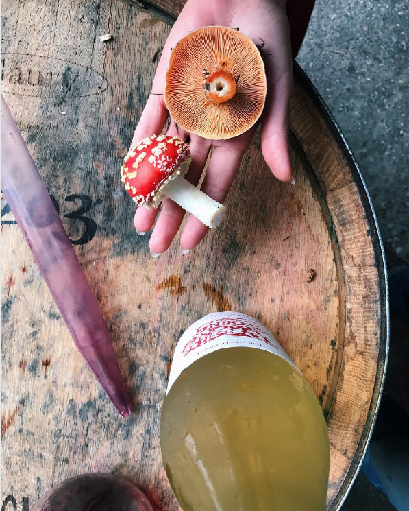 The Princess has found her toadstool—and something good to drink. Photo @leitihsu