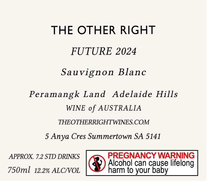 Future 2024 Outline_Back.png