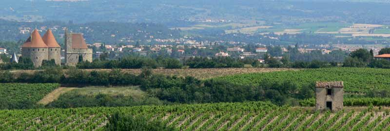 vines-carcassonne.jpg