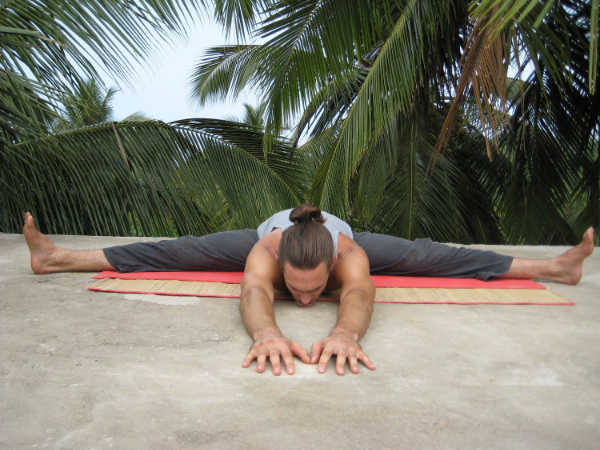 Bhūmi Sparśanāsana (Earthly)