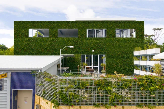 An artist's impression of the vertical green wall at full 6 metre height with engineering and council approvals.