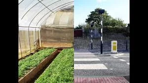 How We Eat Our Landscapes - Pam Warhurst