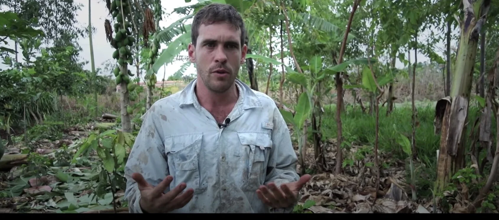 From the Garden to the Forest