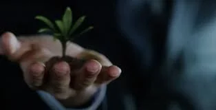 Zeoform - Construction Material Made From Organic Waste