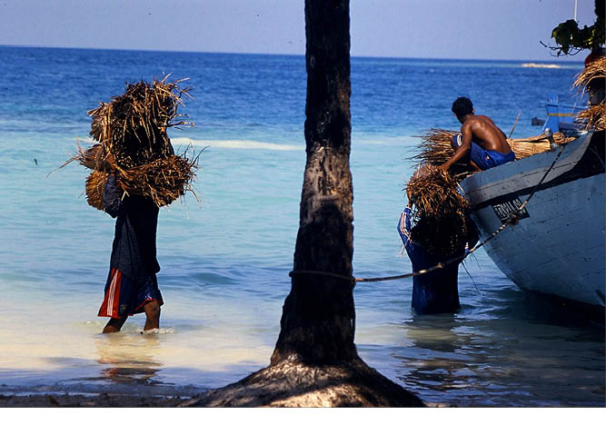 maldives_food_tradional_cuisine_tuna_7.jpg