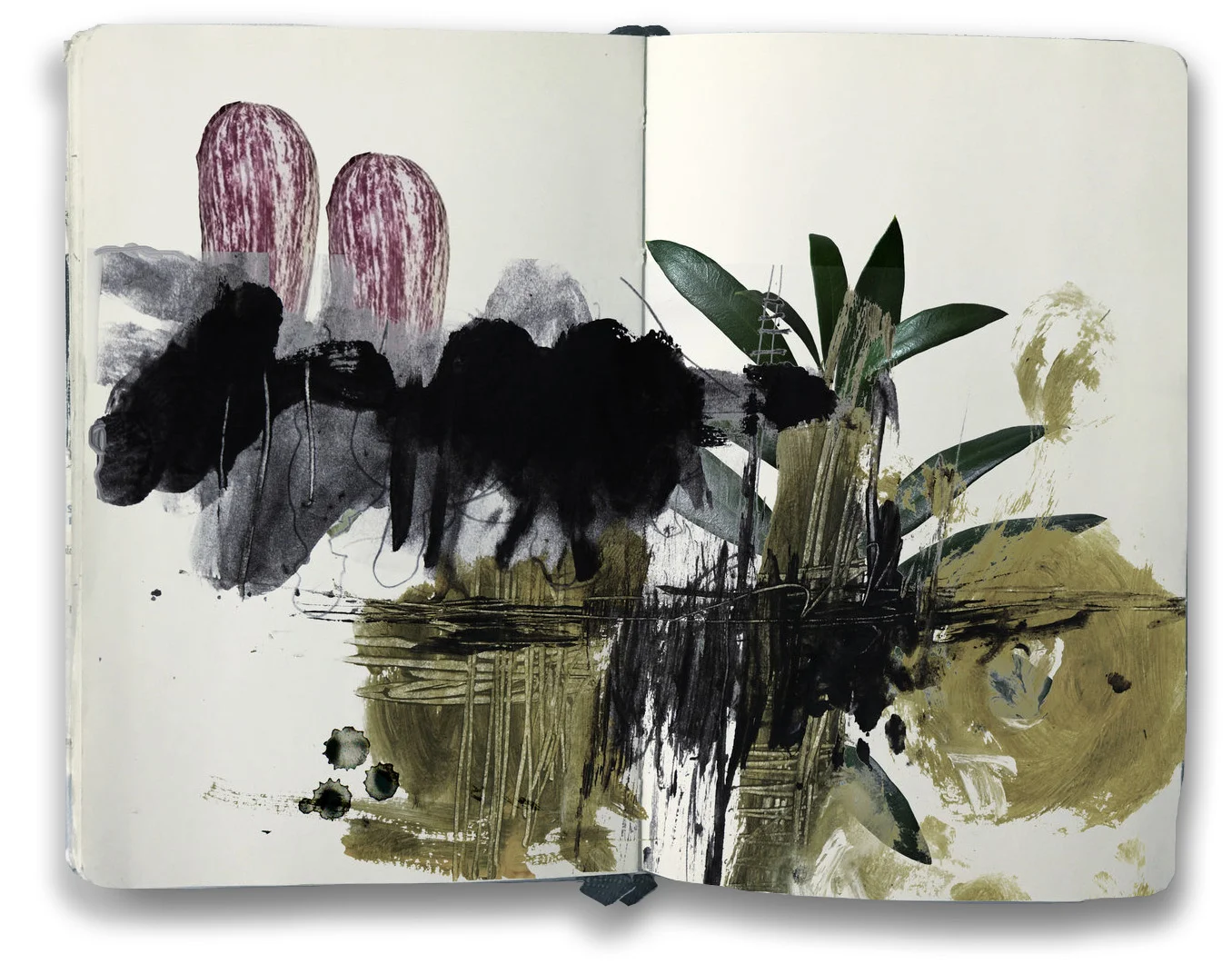 Landscape with Aubergines