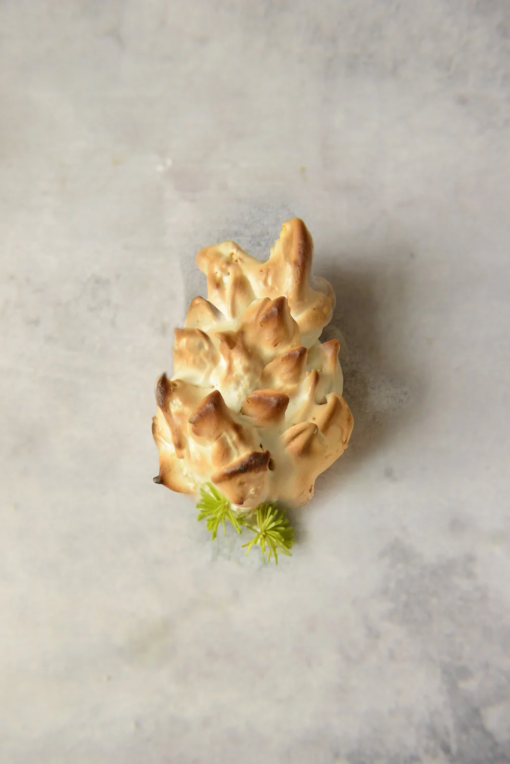 “Tannenzapfen” (Brioche with Fir Tops Jelly)