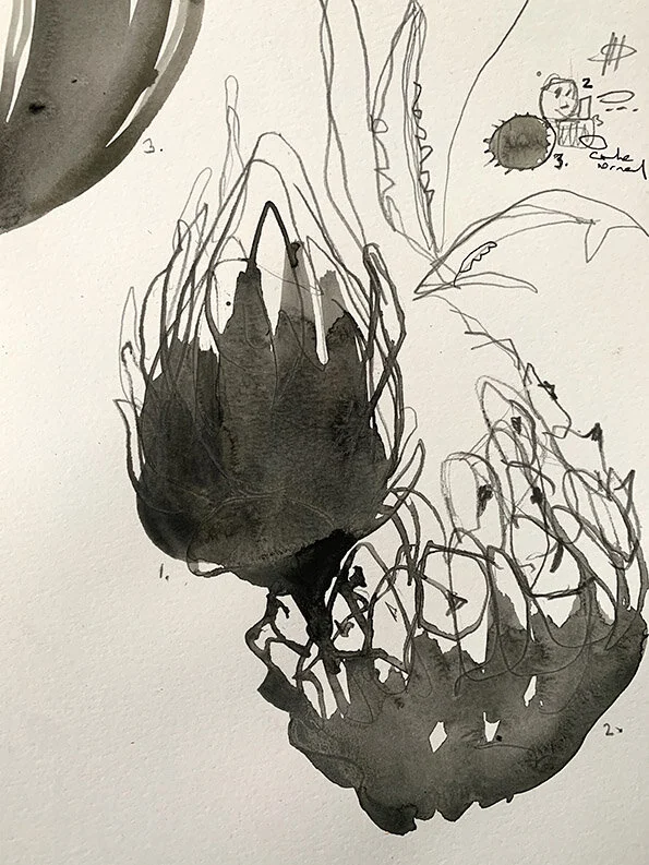 Notes from Vietnam Nr 12