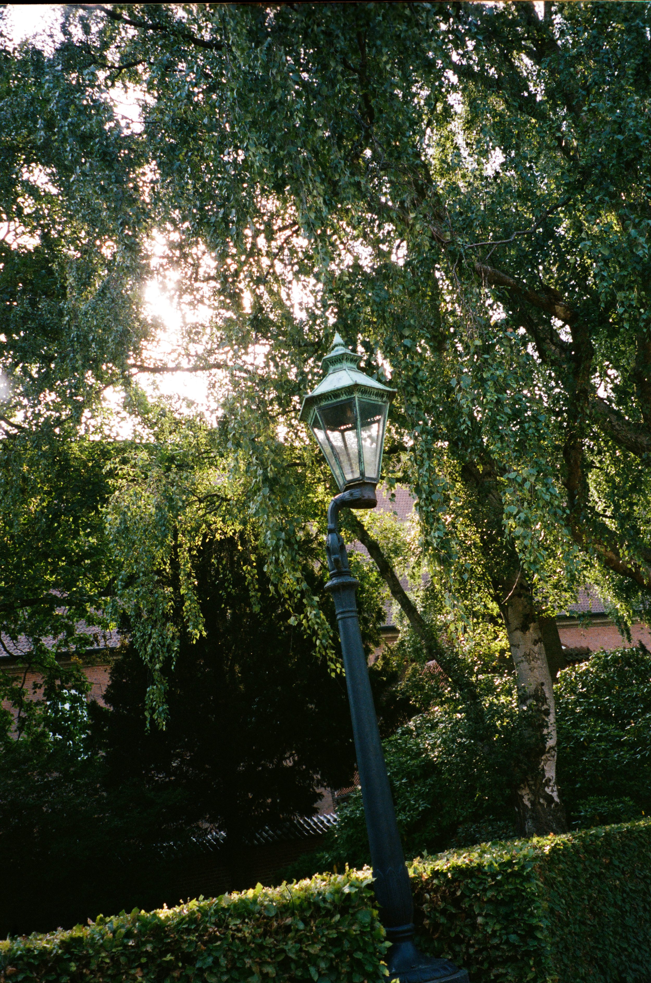 chylak_places-analog-31.jpg