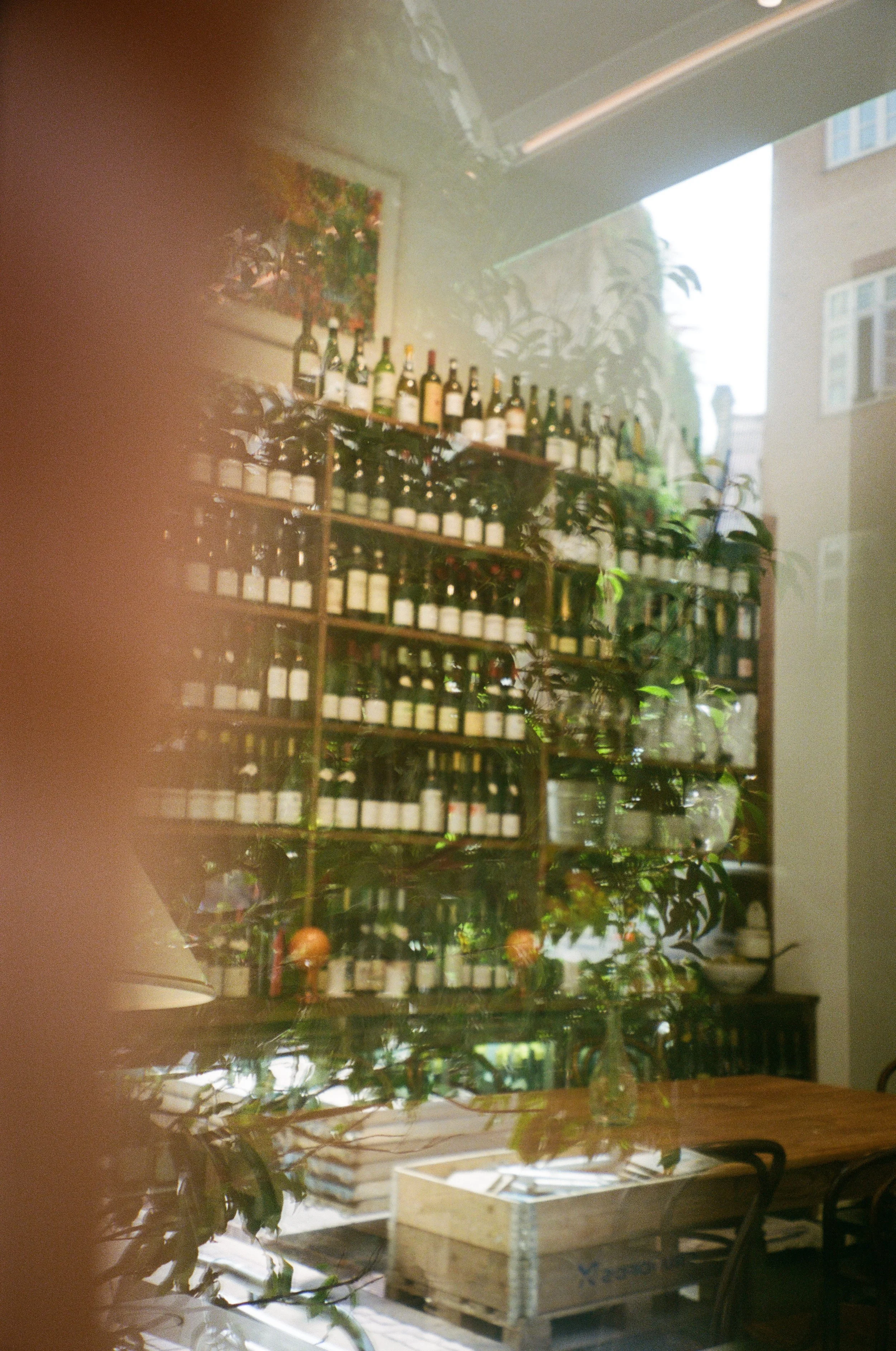 chylak_places-analog-10.jpg