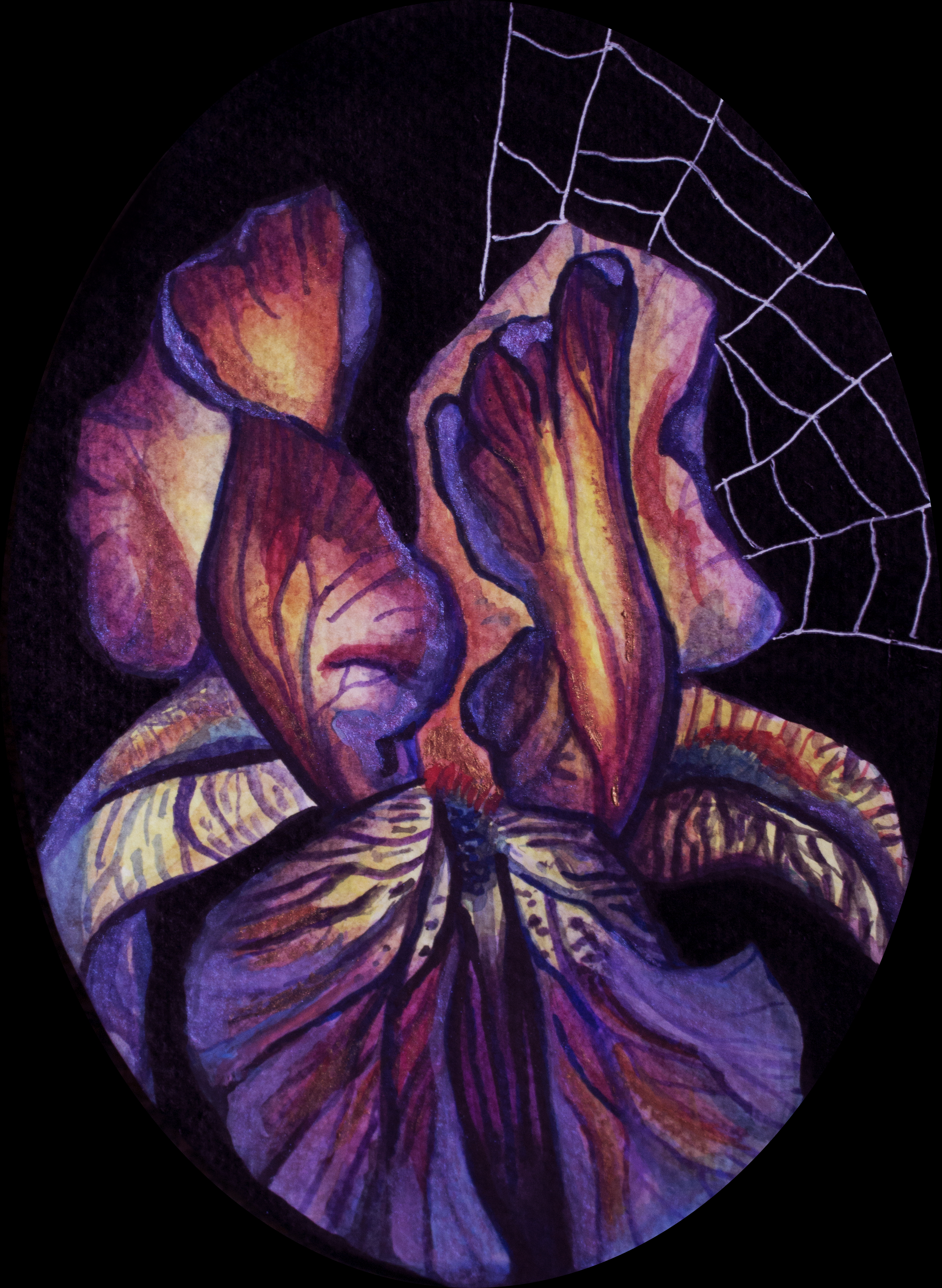    Midnight Flame Iris,  watercolor on paper, 4x6”, 2025 Sold 