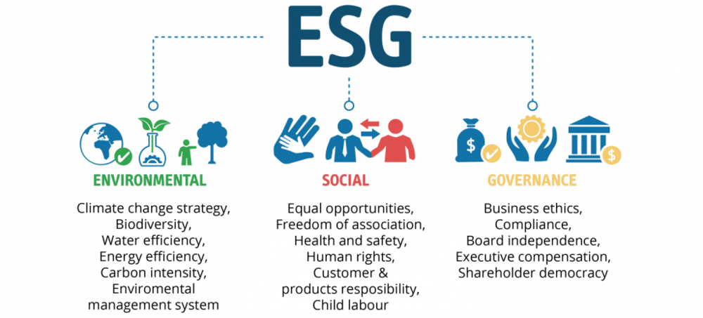 Environmental, Social and Governance (ESG) influence continues to grow. —  HSE International