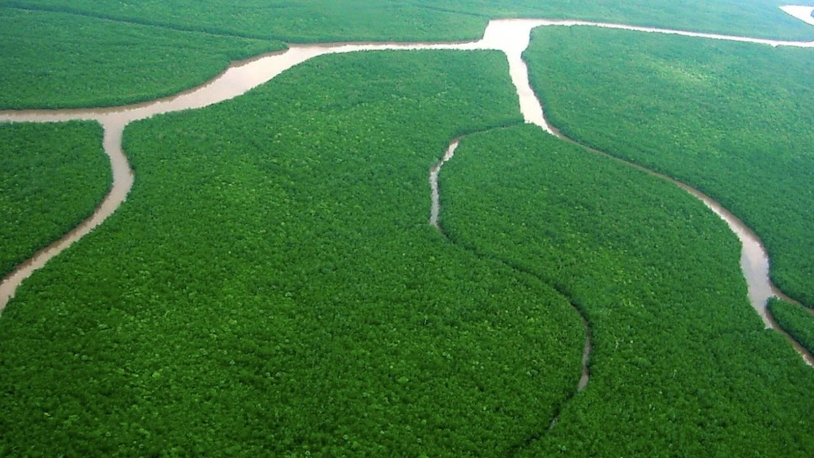 1Delta verde HSE.jpg