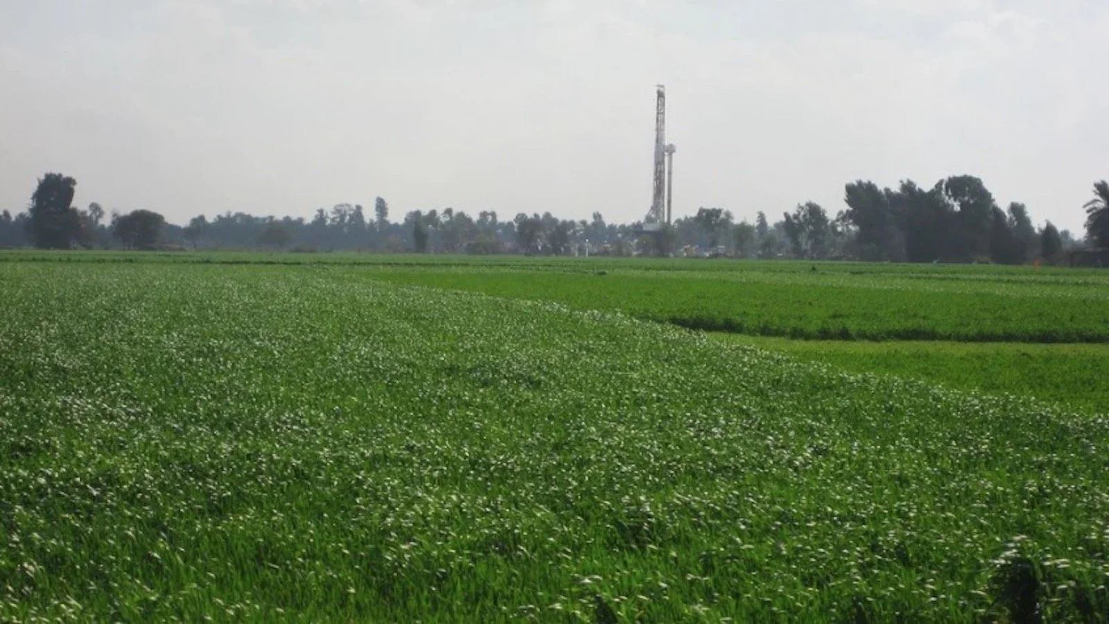 5taladro tierra HSE.jpg