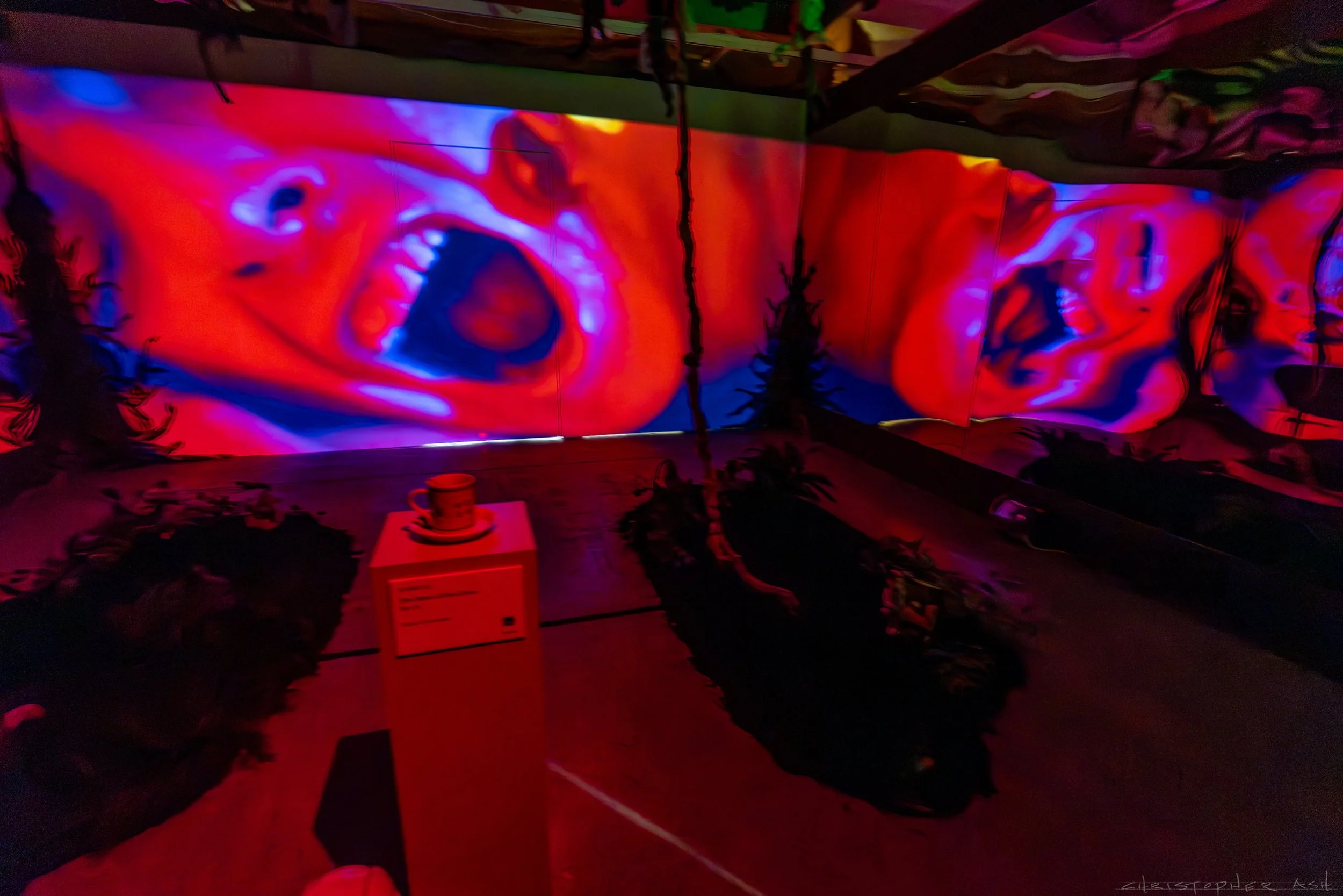 ROSE FW R1 ASH-124.jpg