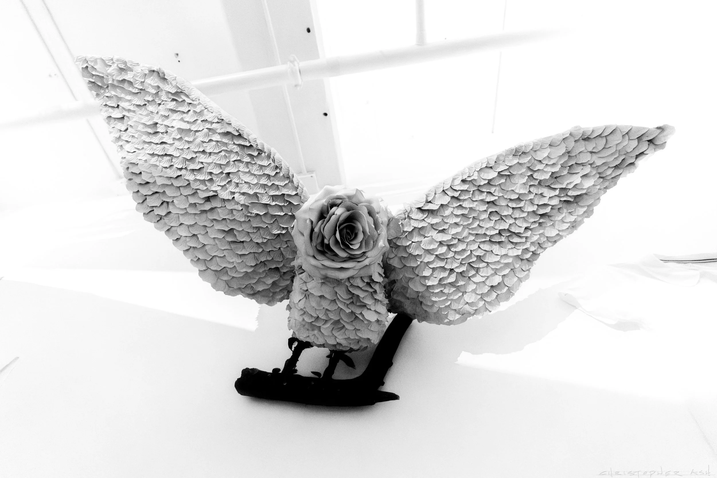 ROSE FW R1 ASH-57.jpg