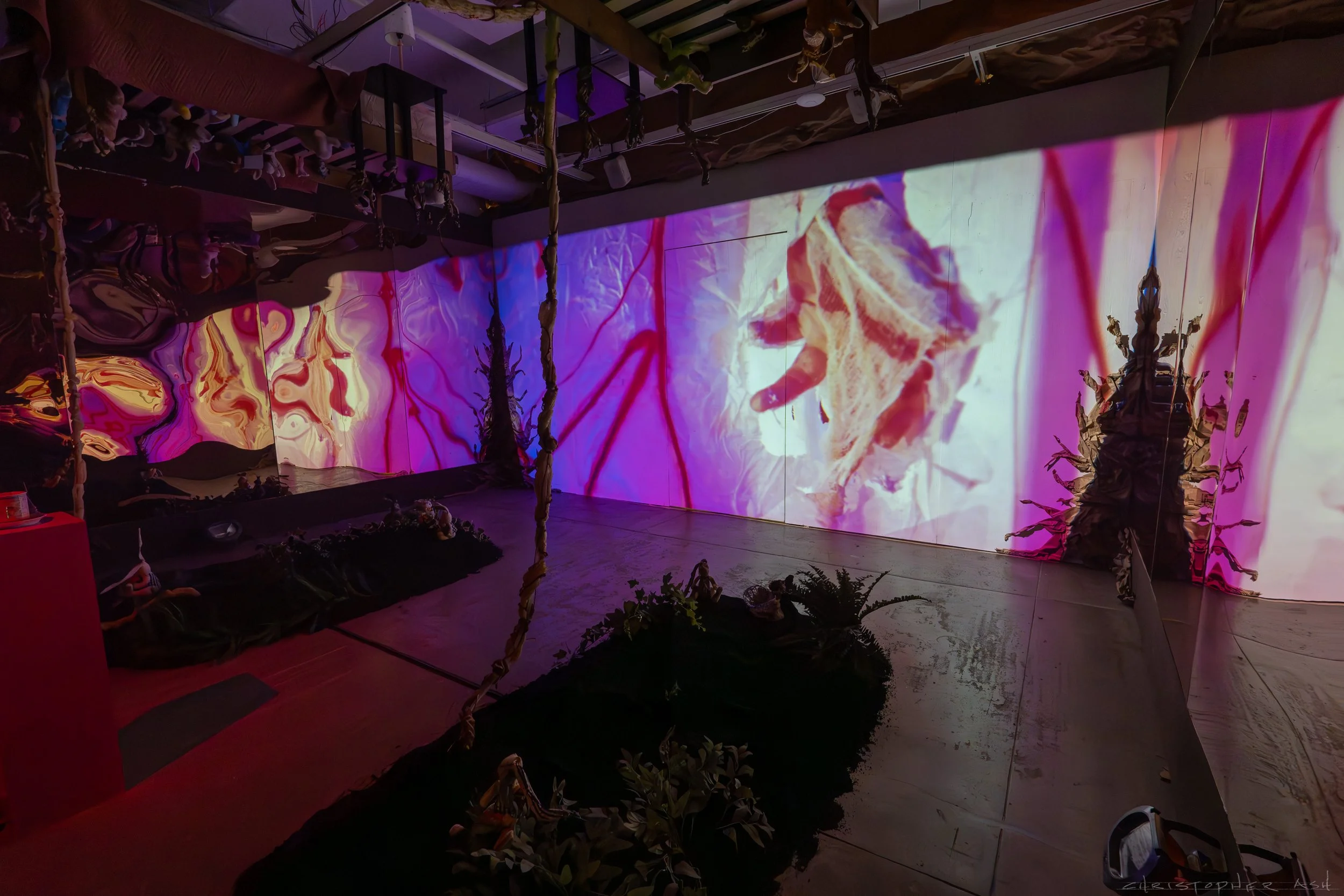 ROSE FW R1 ASH-117.jpg