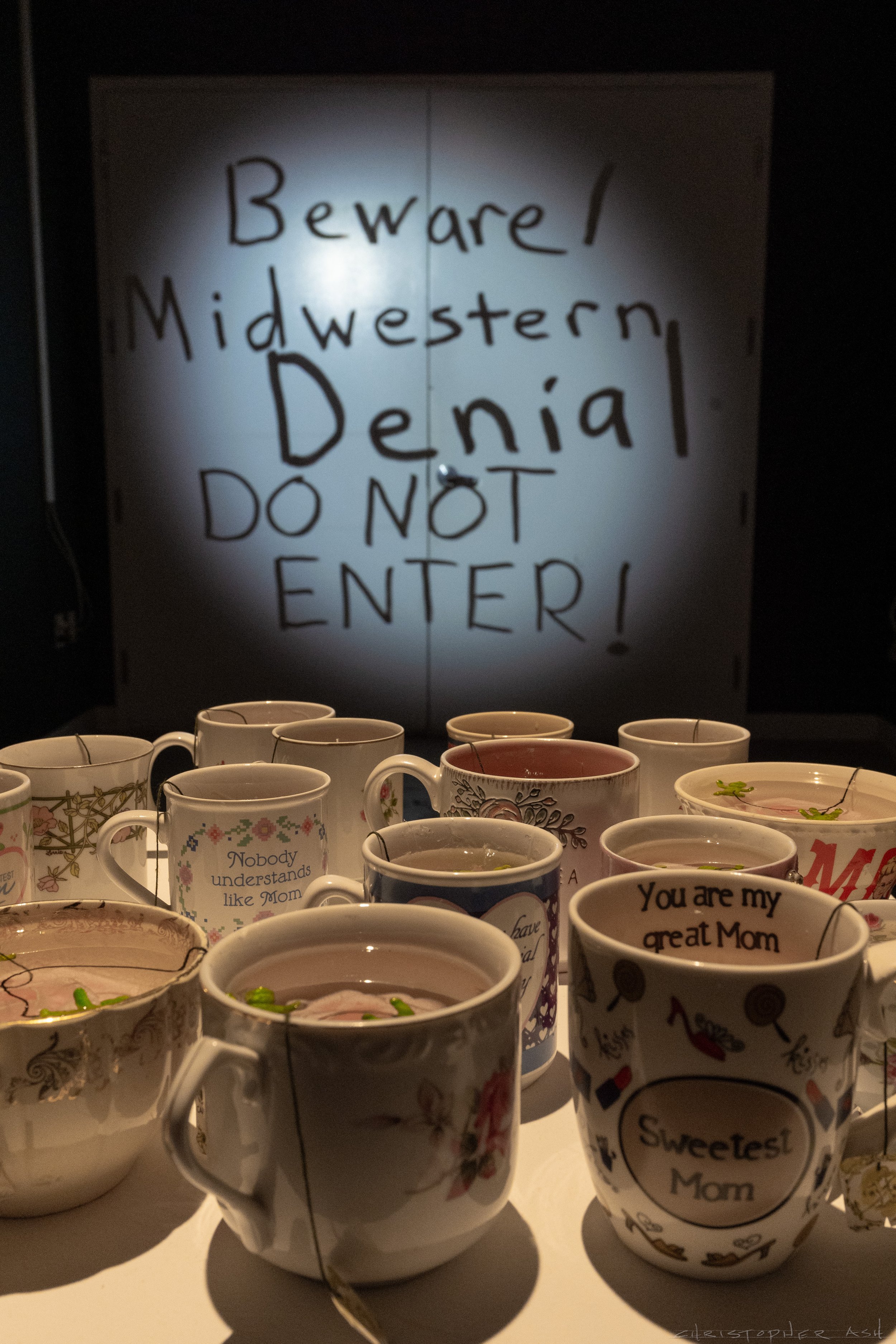 ROSE FW R1 ASH-3.jpg