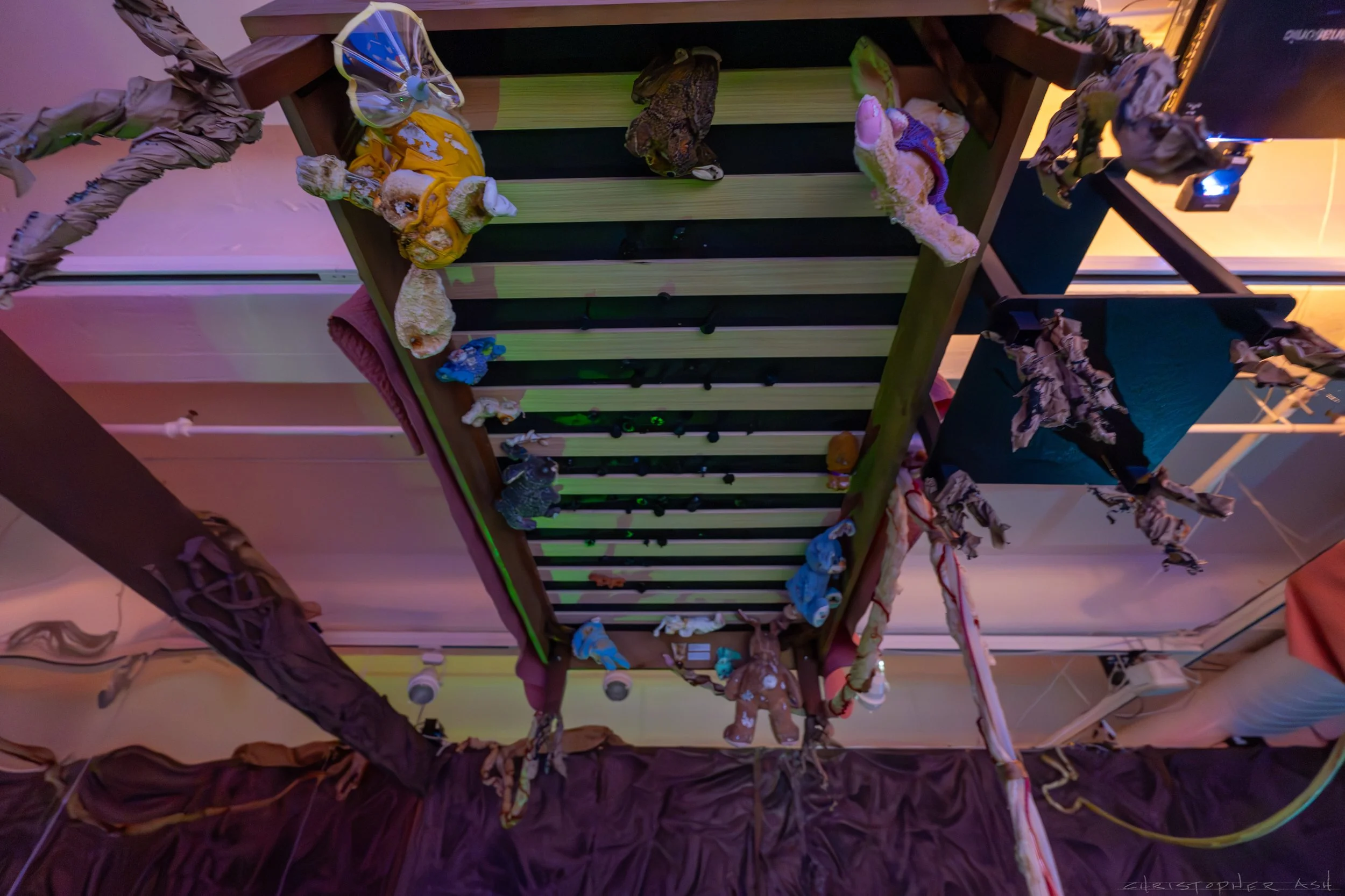 ROSE FW R1 ASH-141.jpg