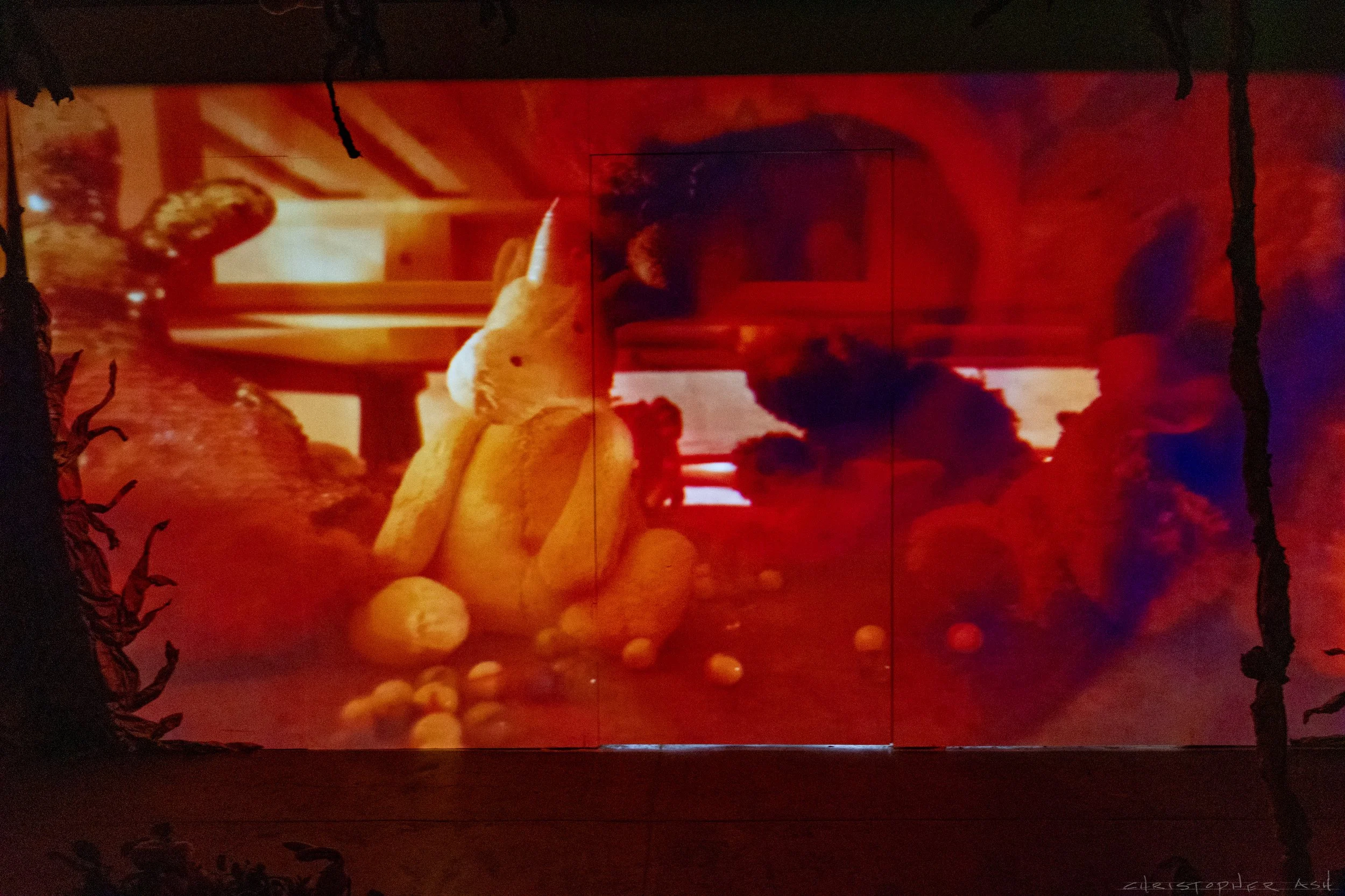 ROSE FW R1 ASH-121.jpg