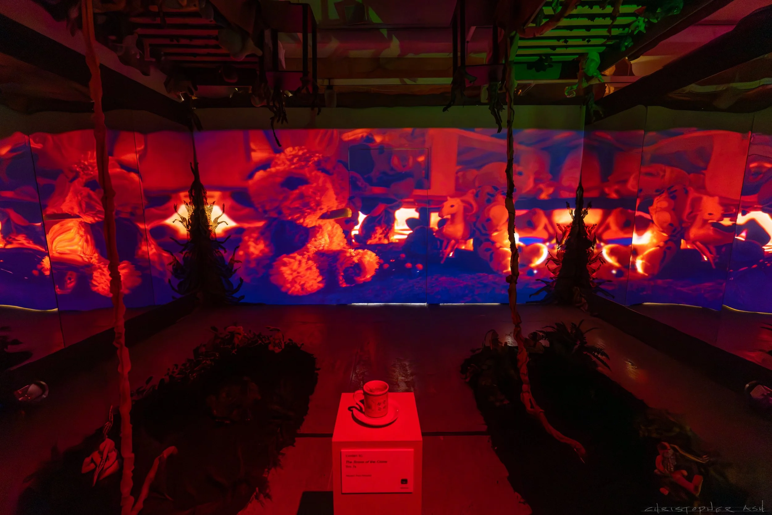 ROSE FW R1 ASH-122.jpg