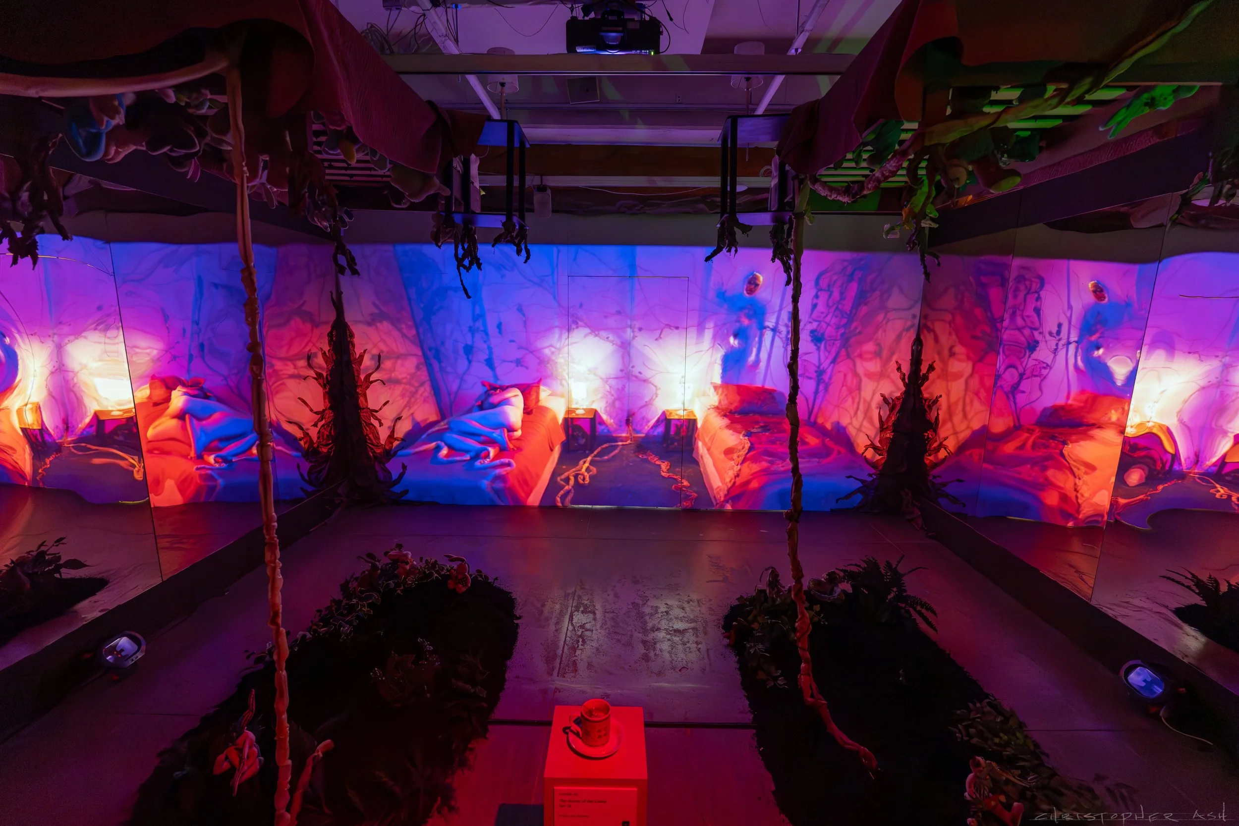 ROSE FW R1 ASH-114.jpg