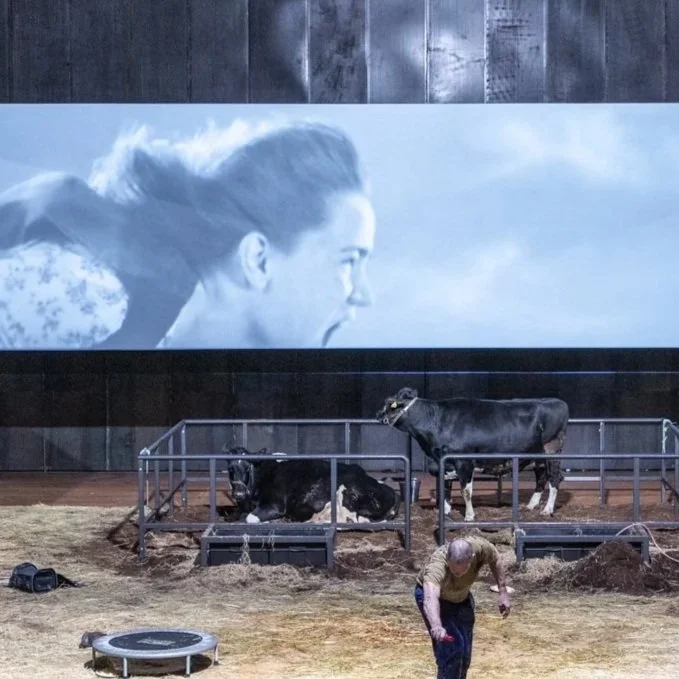 MEIN LIEVE GUNSTELLING