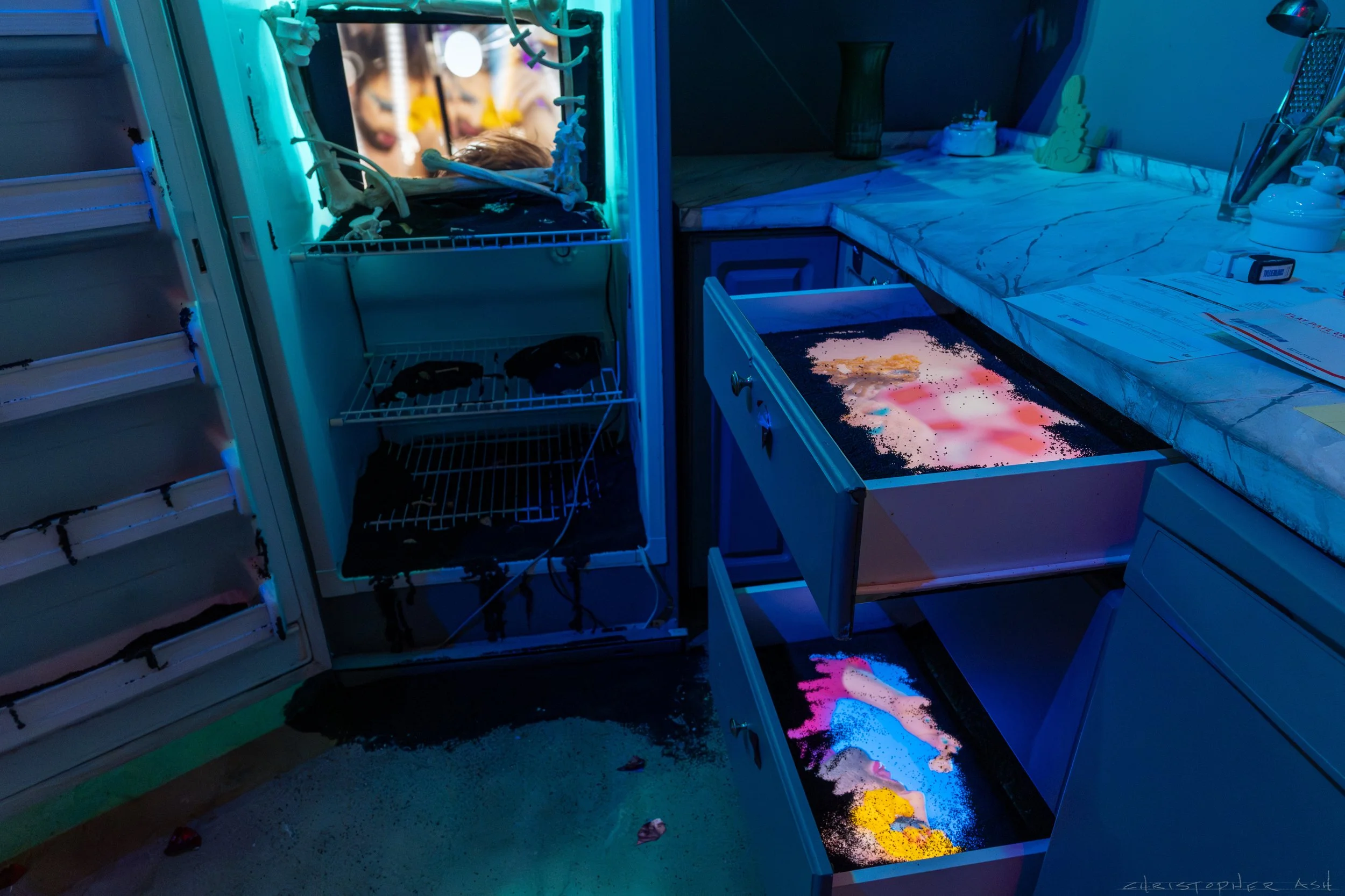 ROSE FW R1 ASH-12.jpg