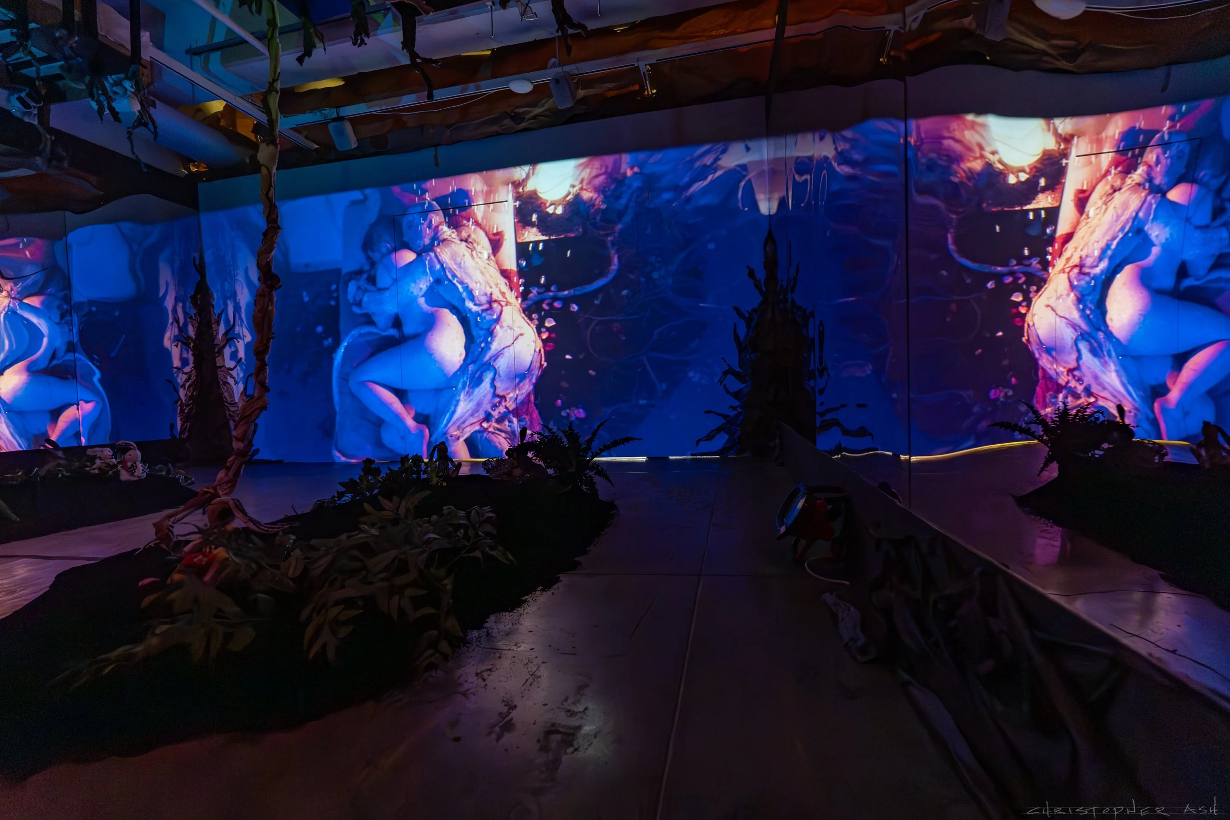 ROSE FW R1 ASH-132.jpg