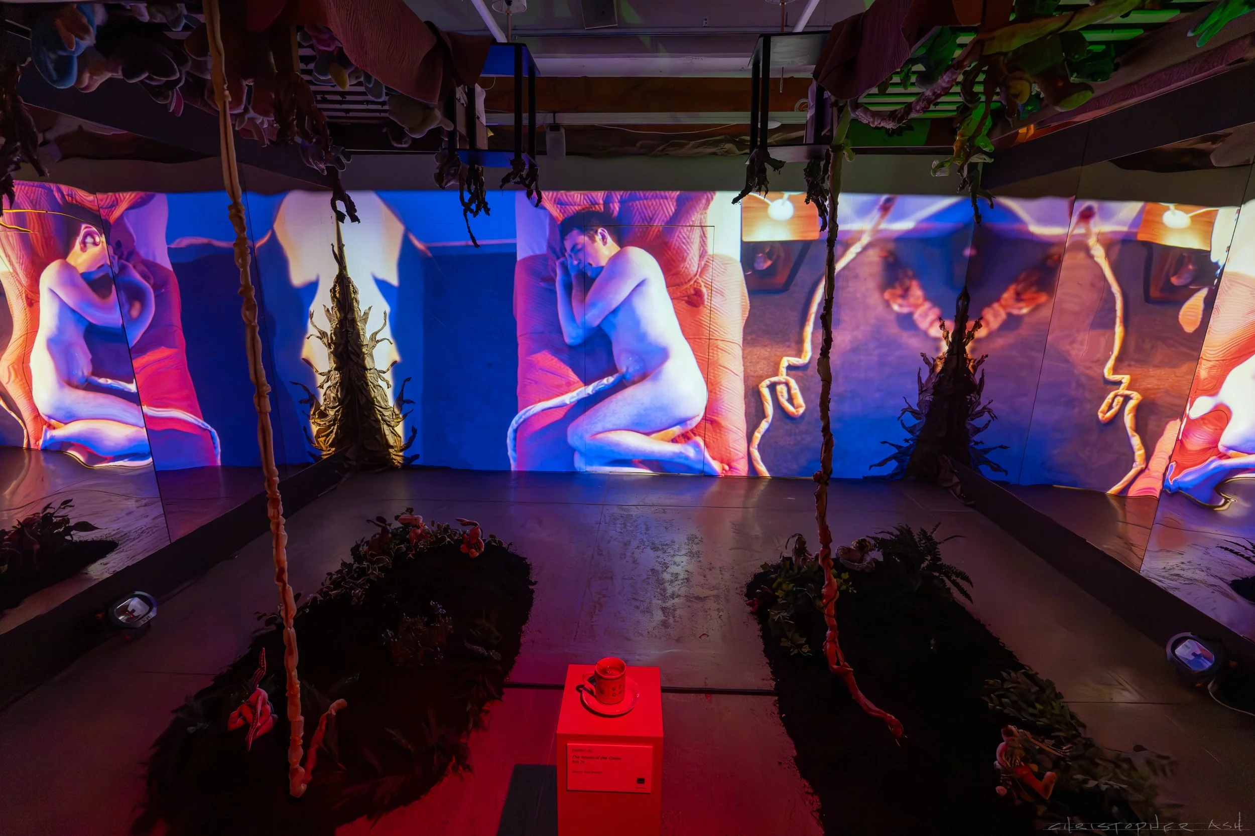 ROSE FW R1 ASH-111.jpg