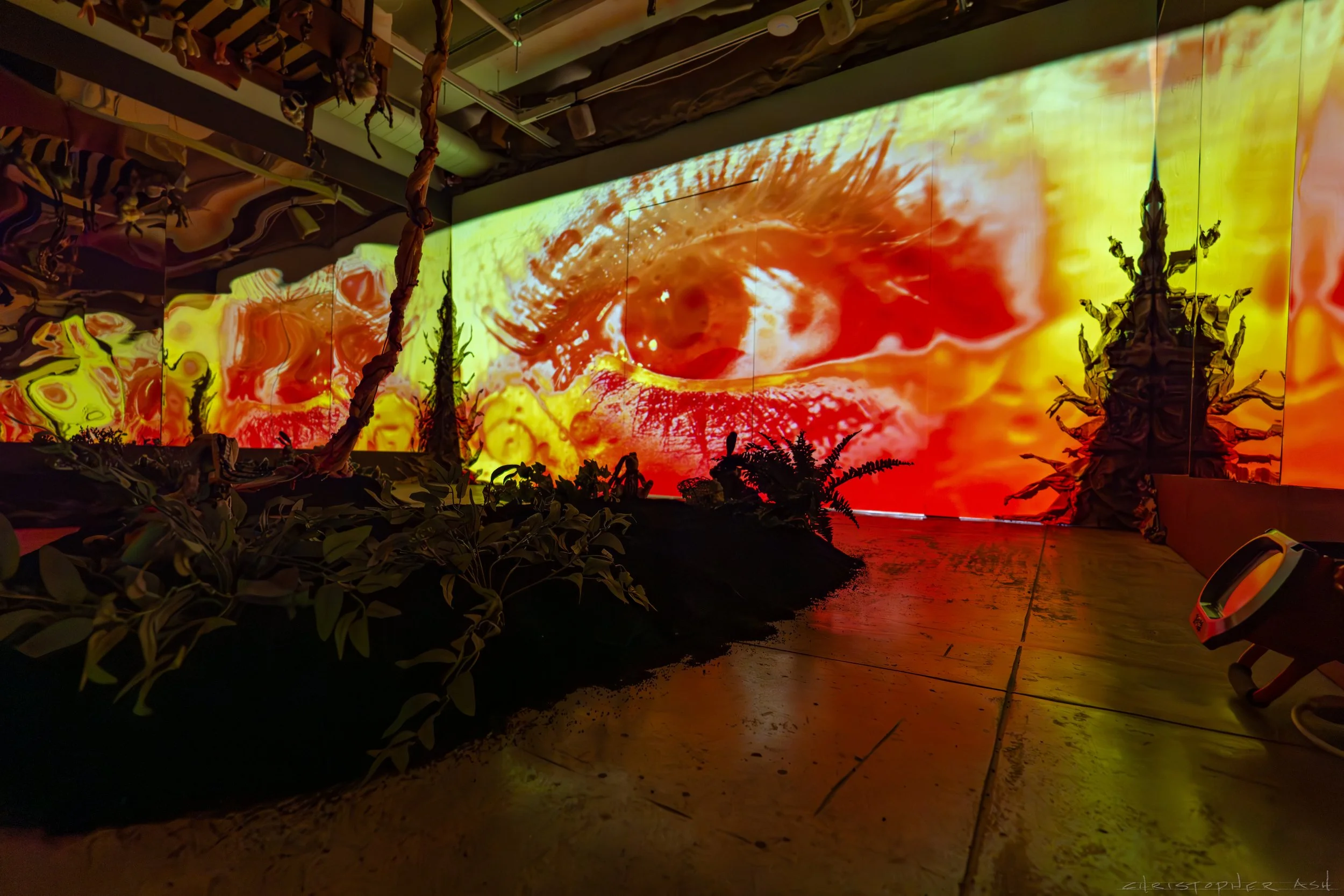 ROSE FW R1 ASH-127.jpg