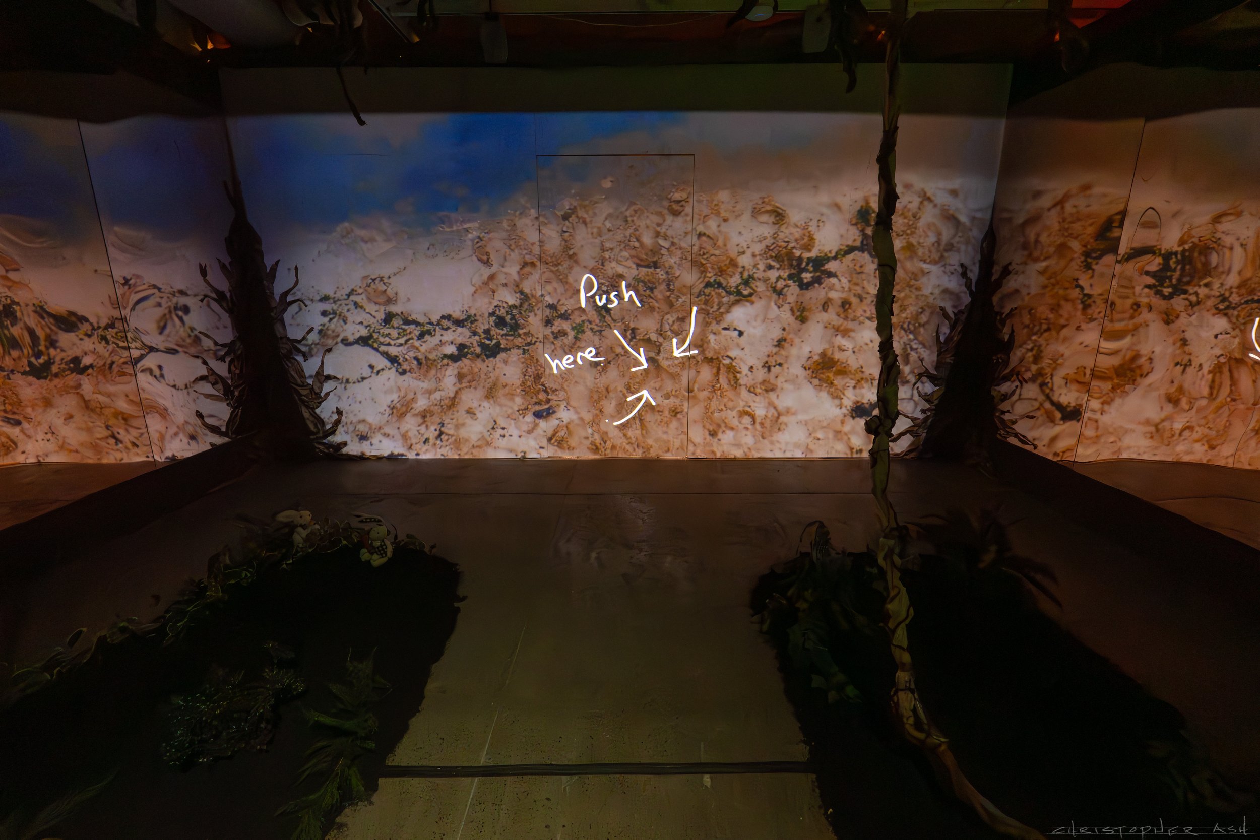 ROSE FW R1 ASH-139.jpg