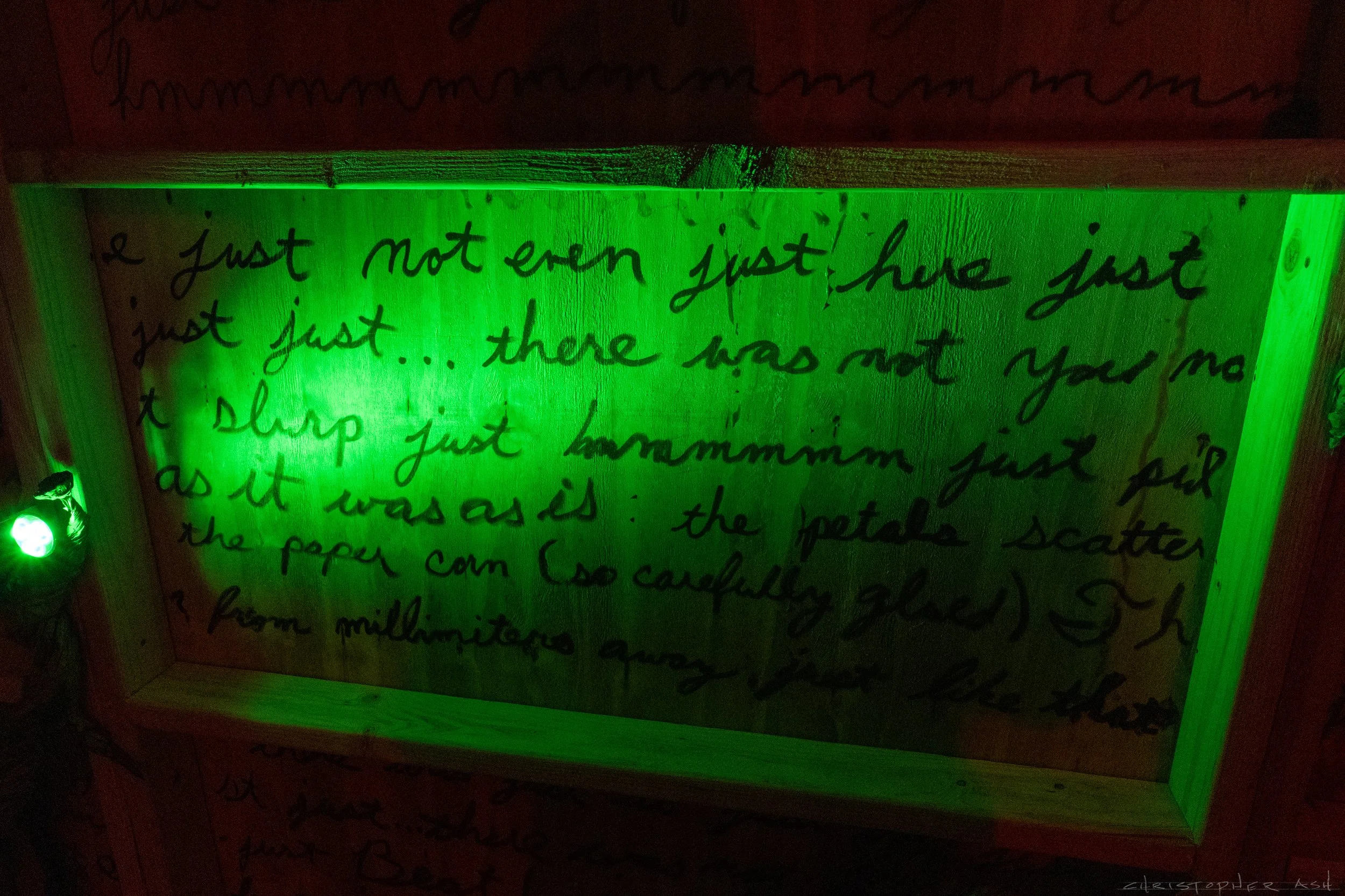 ROSE FW R1 ASH-96.jpg