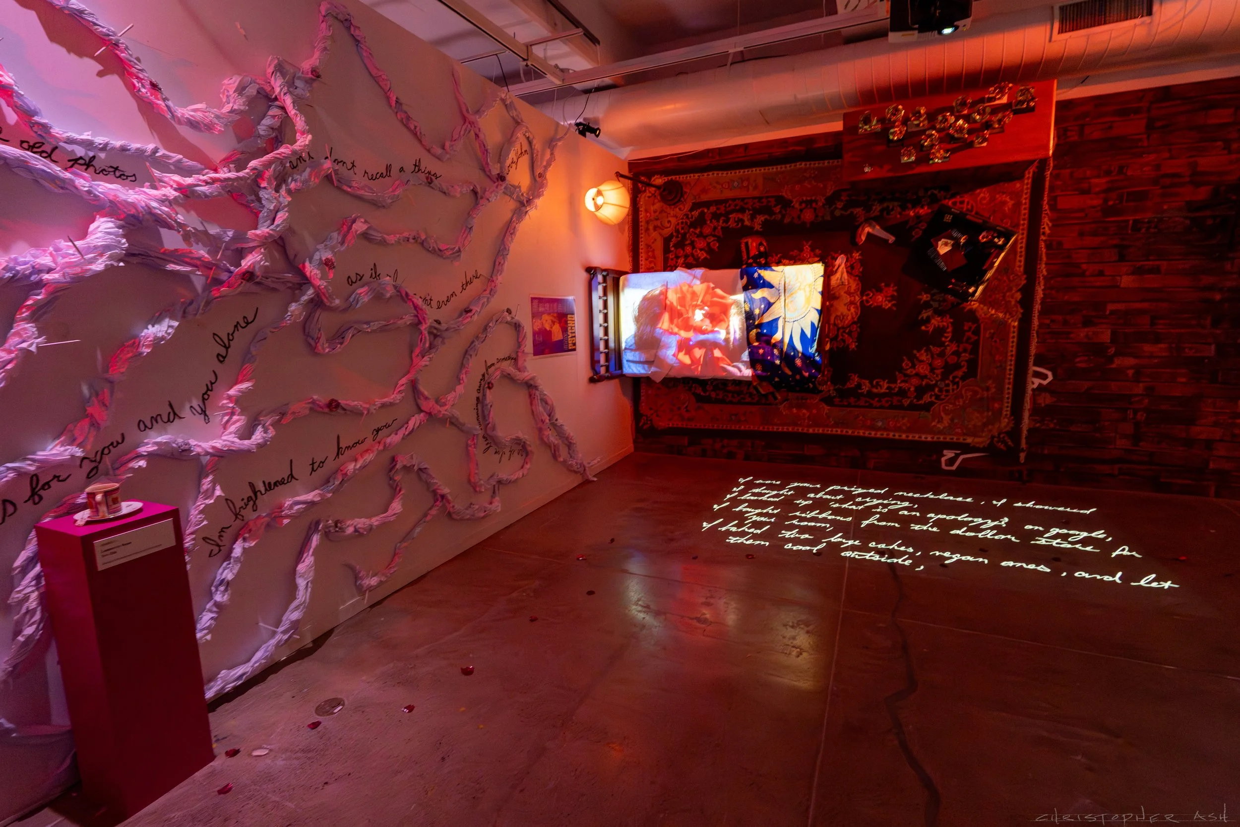 ROSE FW R1 ASH-22.jpg