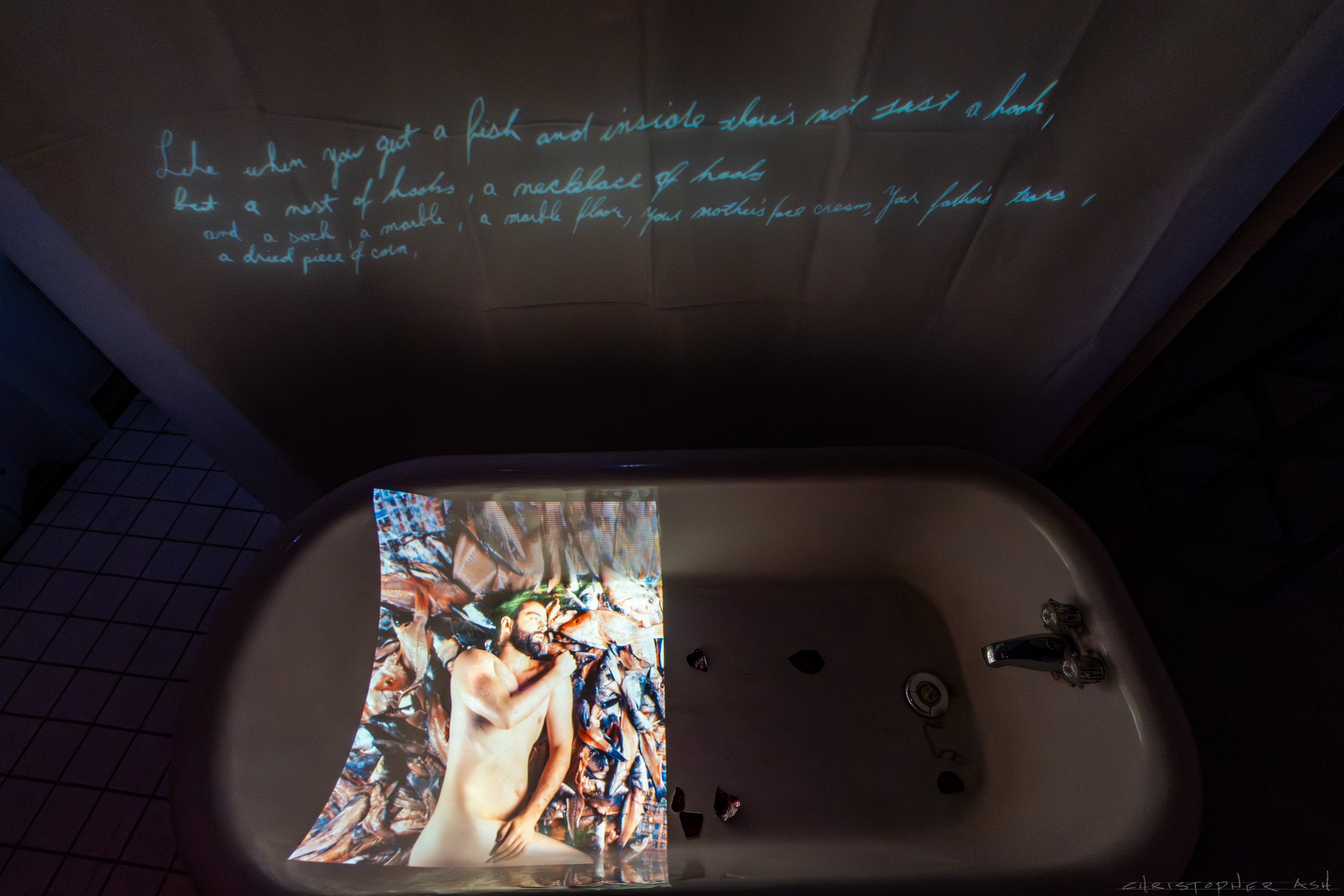 ROSE FW R1 ASH-29.jpg