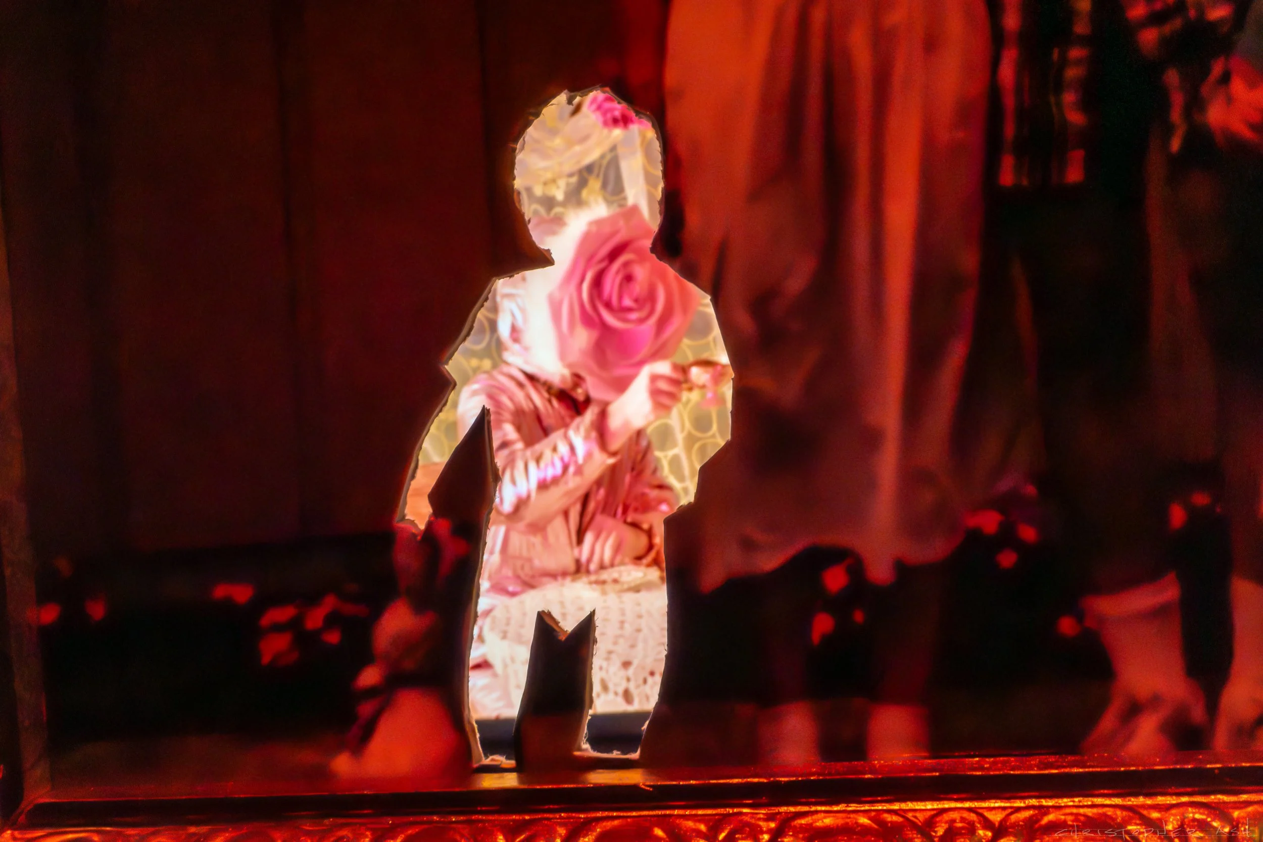 ROSE FW R1 ASH-101.jpg