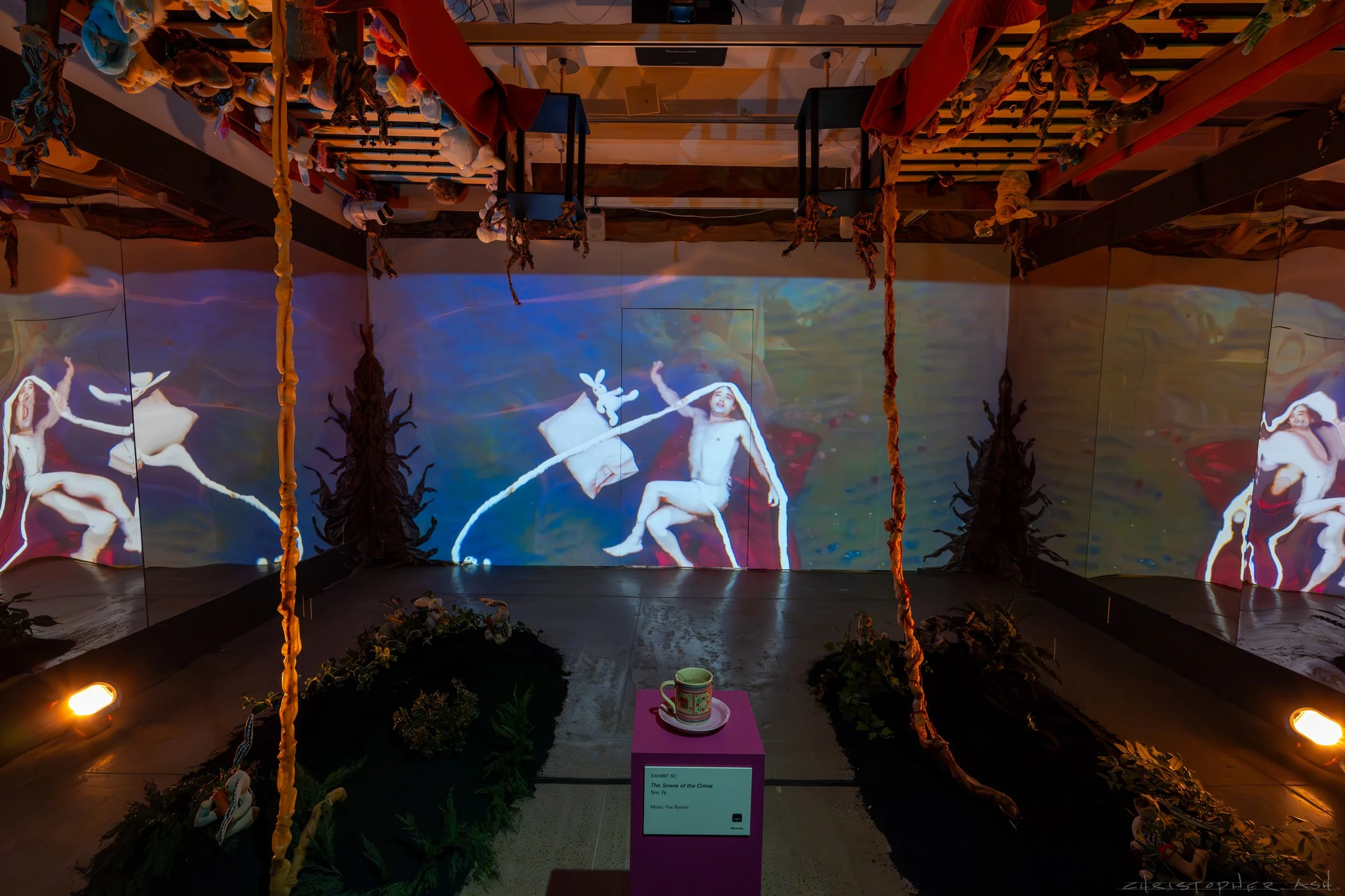 ROSE FW R1 ASH-135.jpg