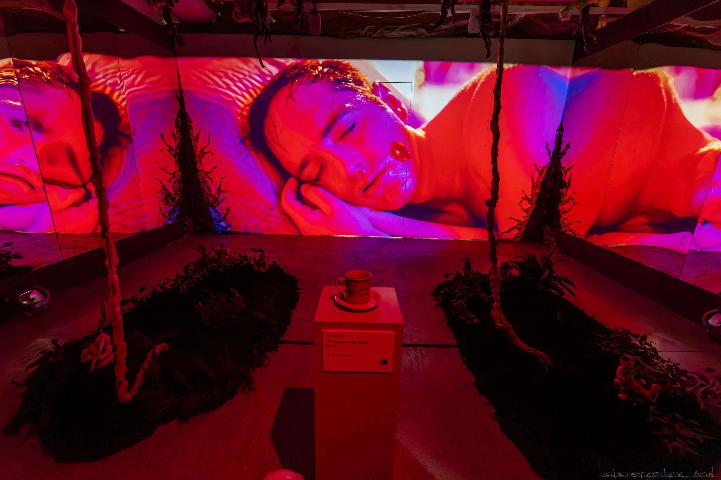 ROSE FW R1 ASH-125.jpg