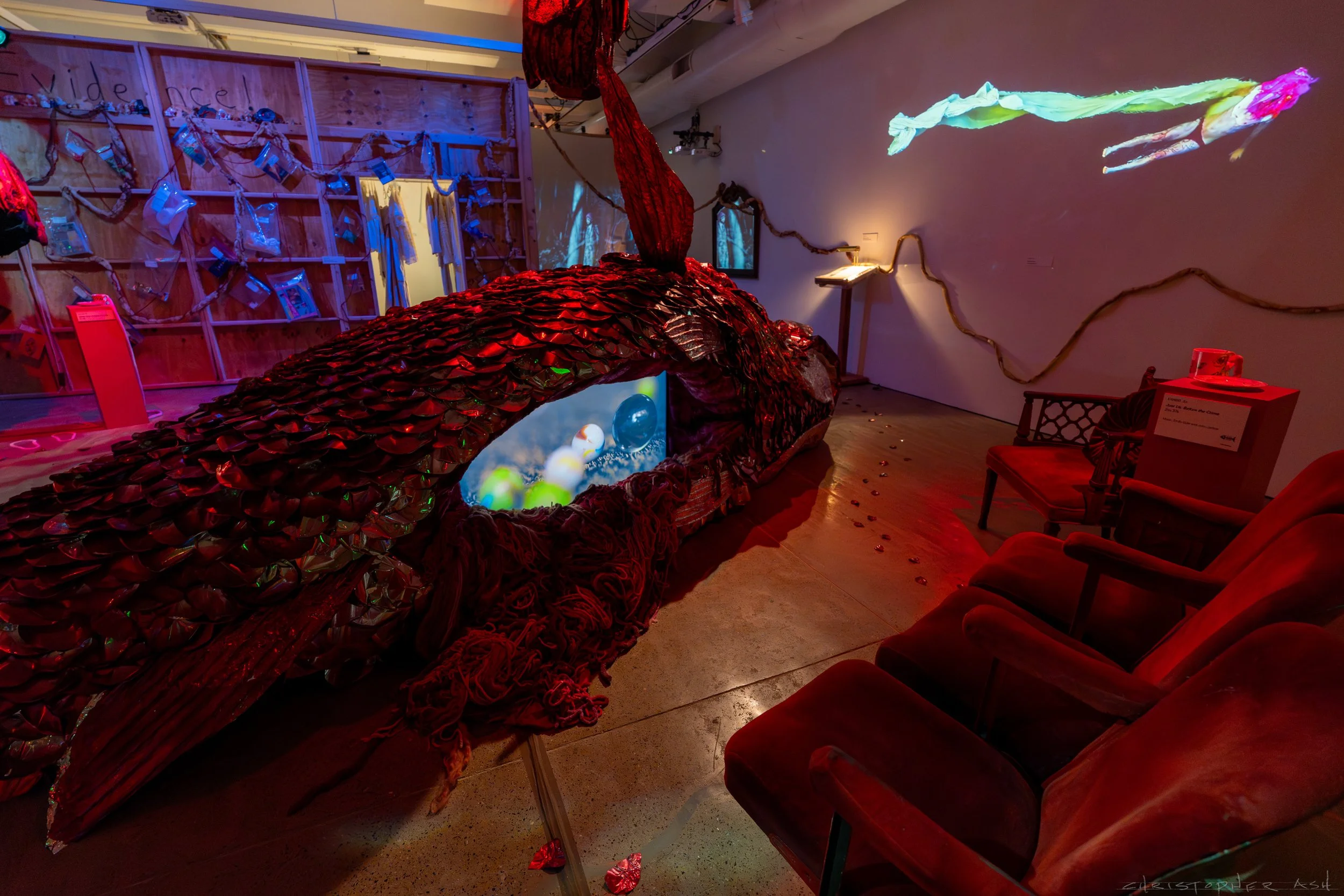 ROSE FW R1 ASH-99.jpg