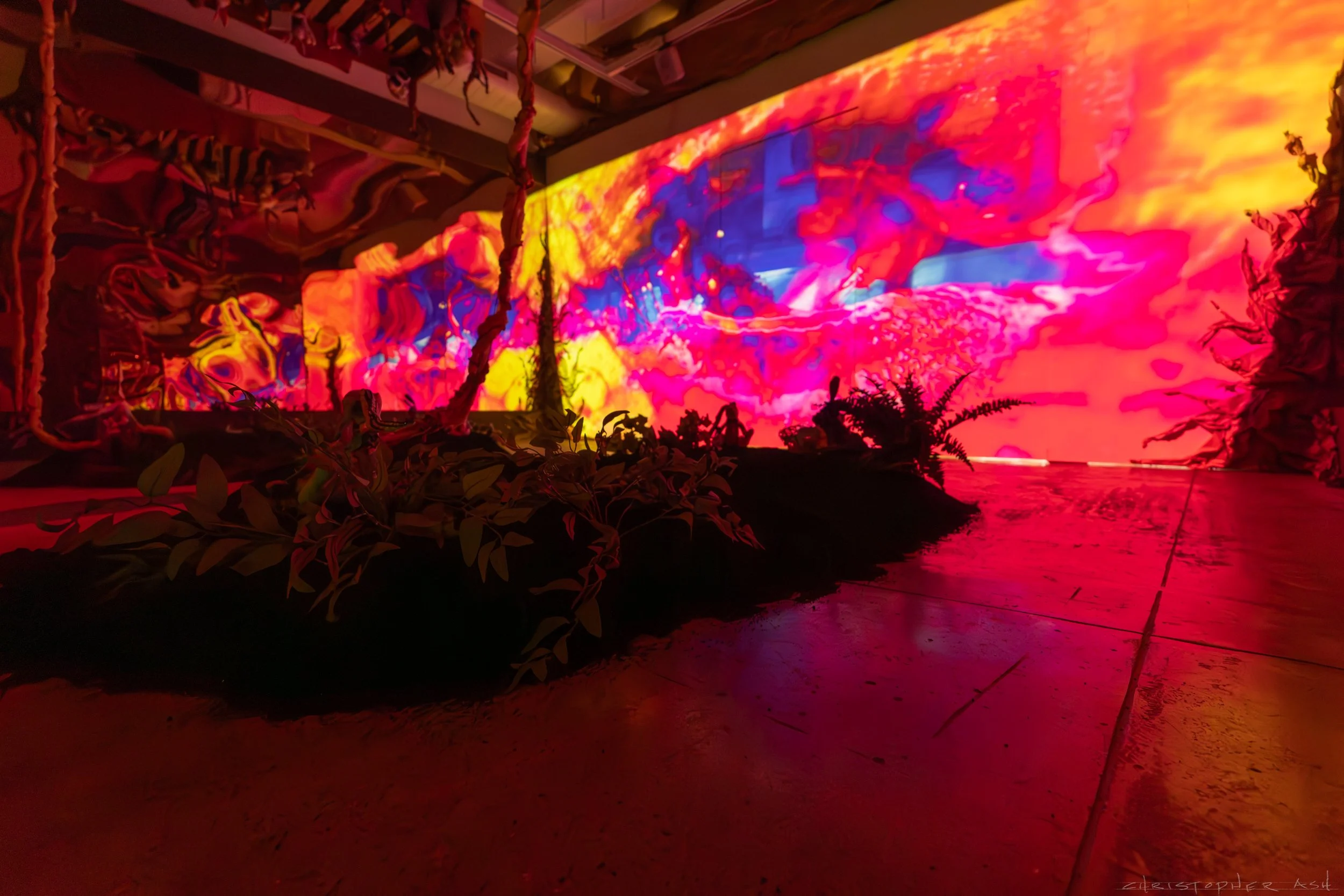 ROSE FW R1 ASH-128.jpg