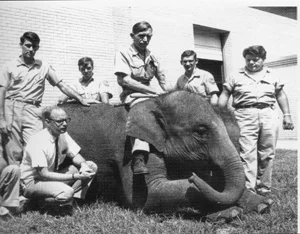 Zoo director