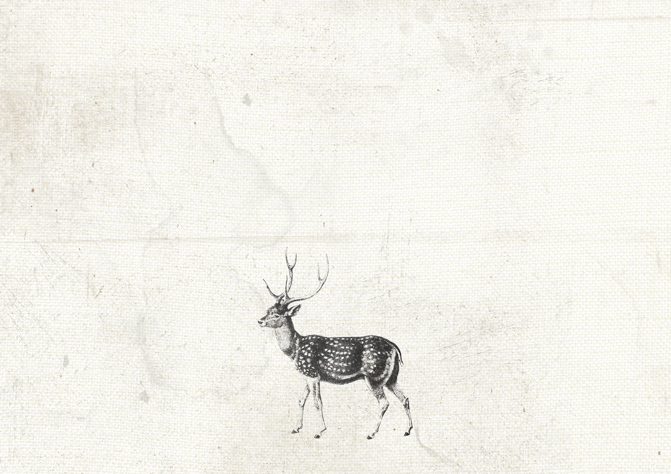 more images can be added to this back