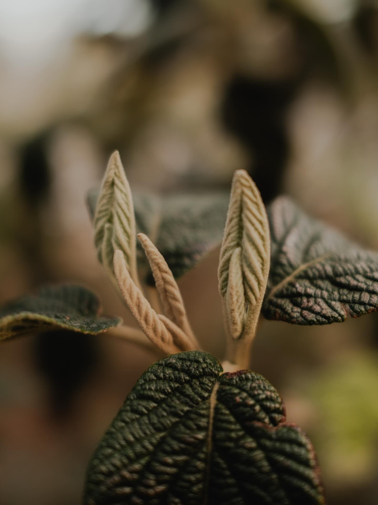 🌱 Spring is here! 🌸