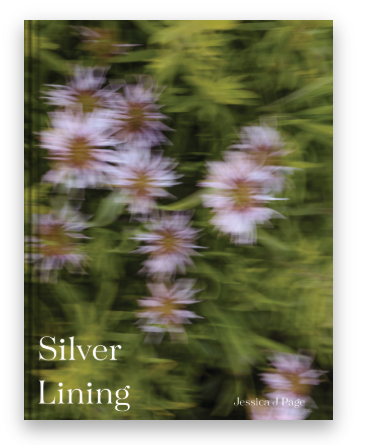 sl.png