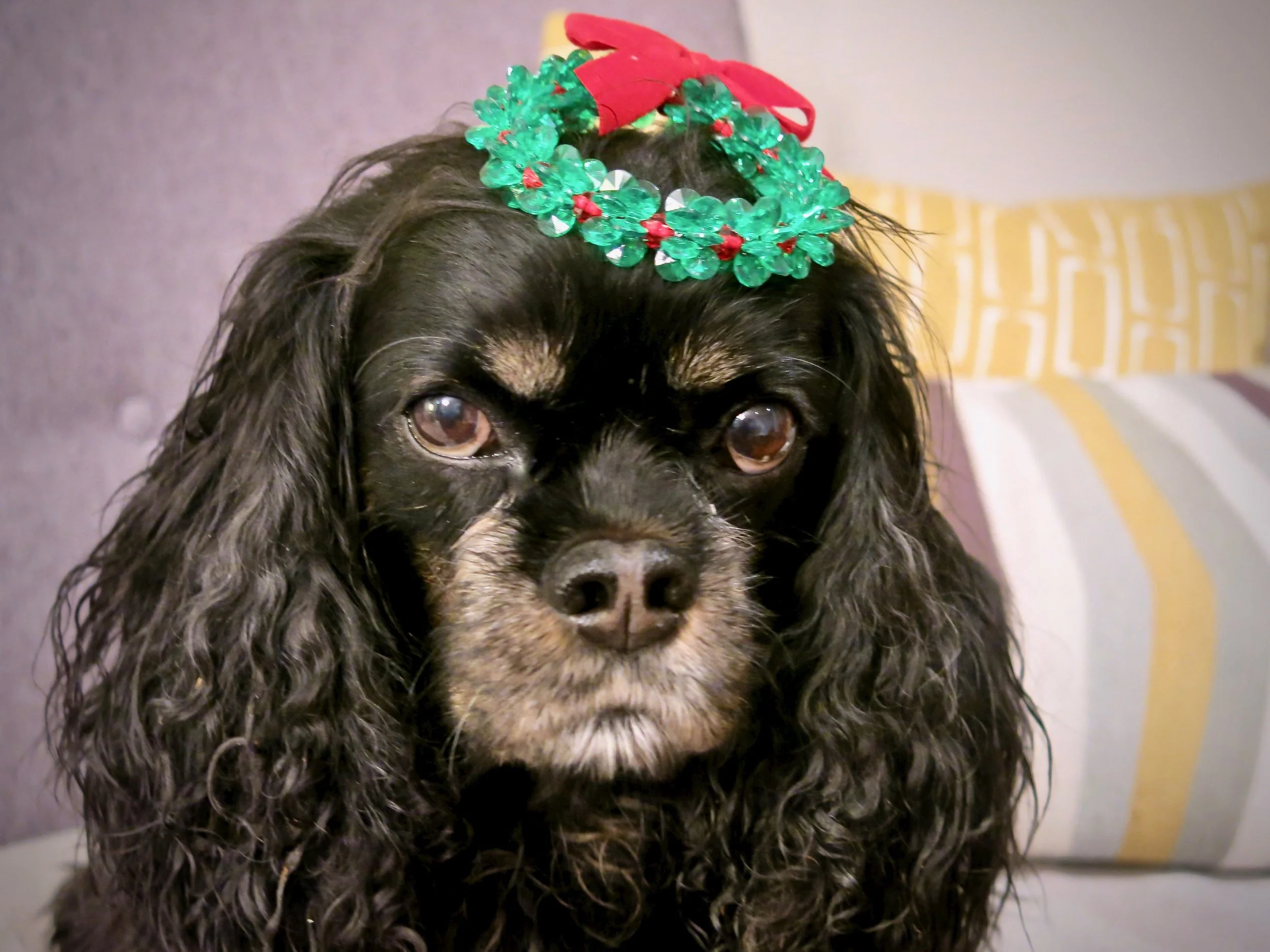 Bazaar-o-Rama 2018 Week 3