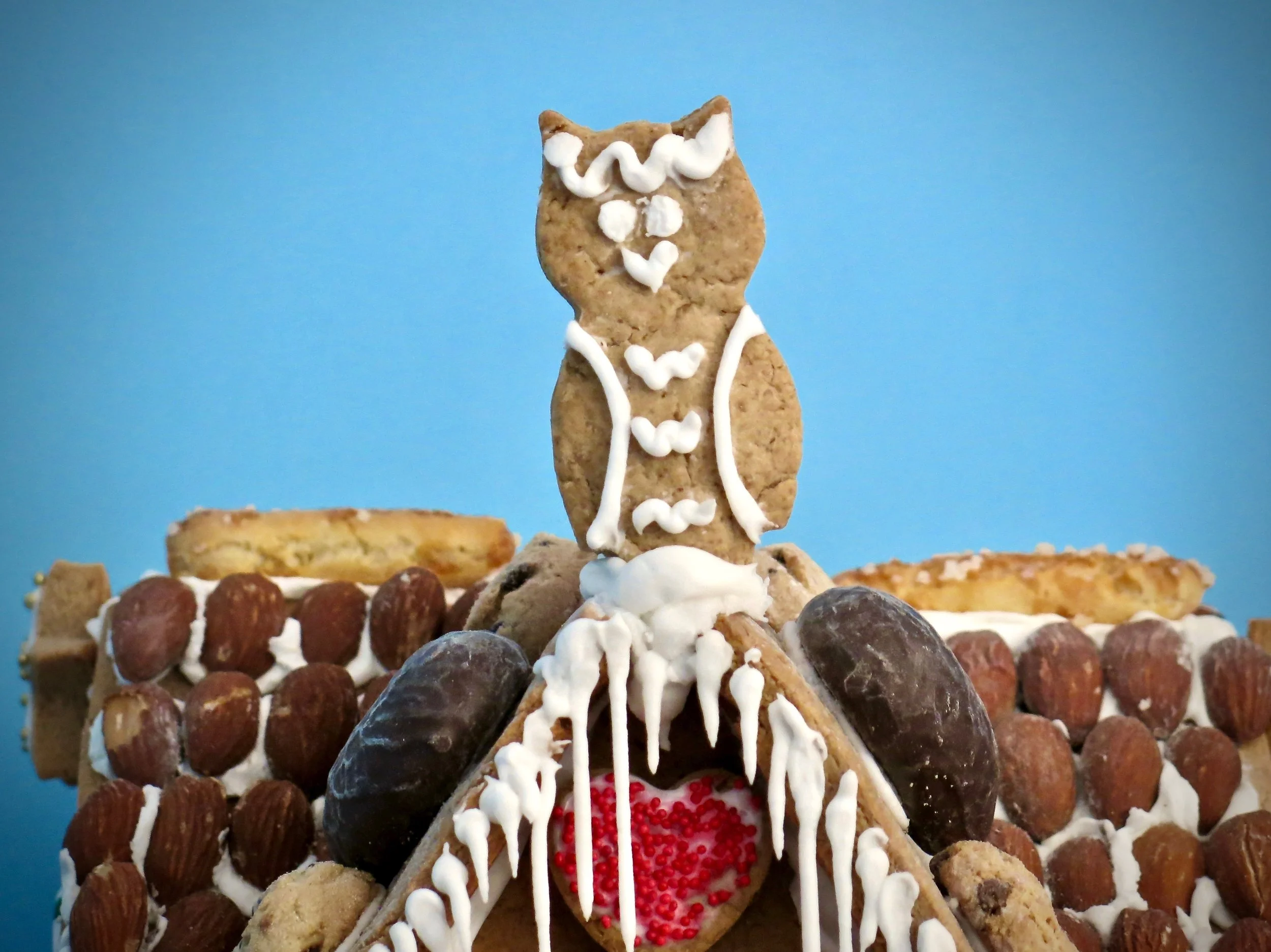 This owl was wise. I was not.